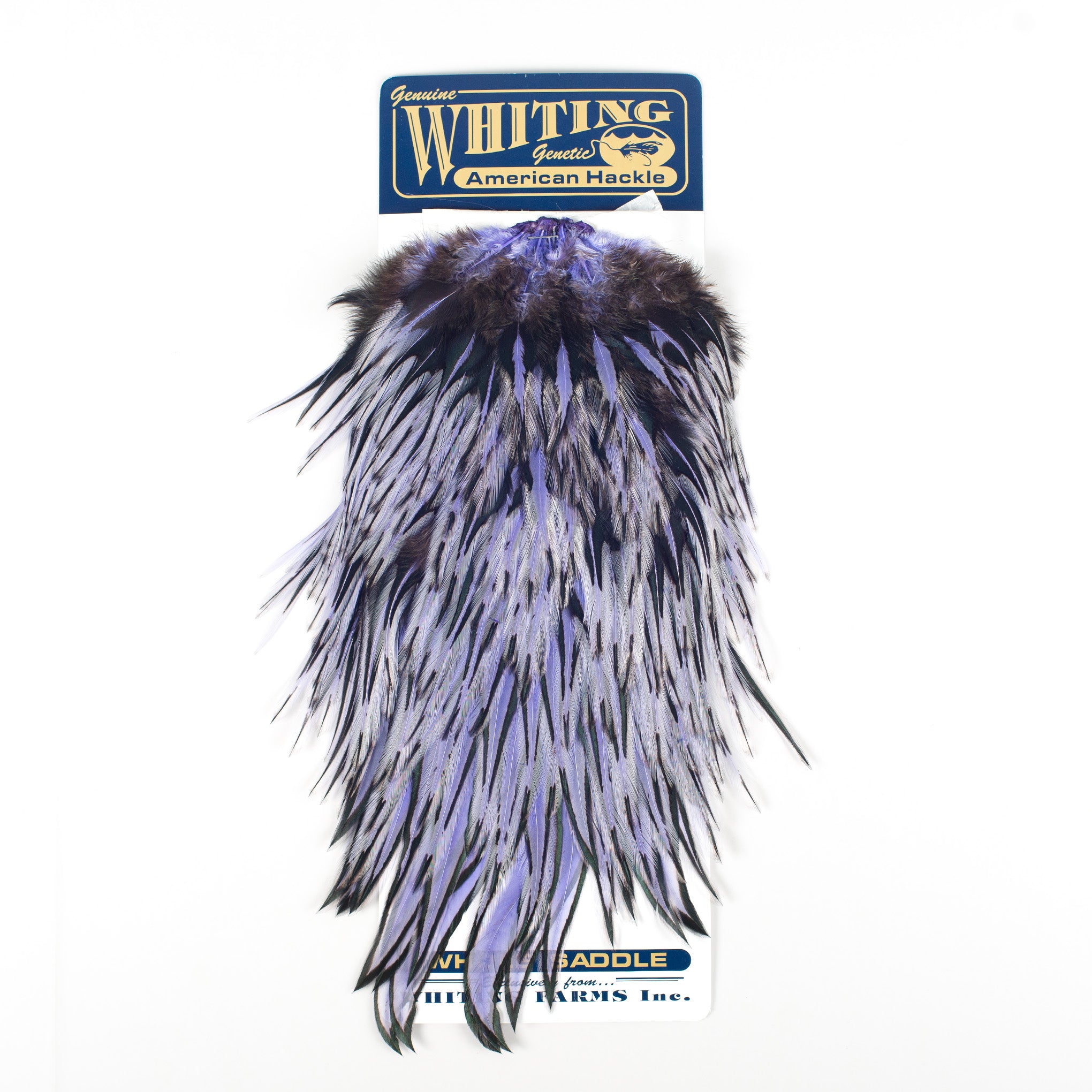 Whiting American Rooster Saddle