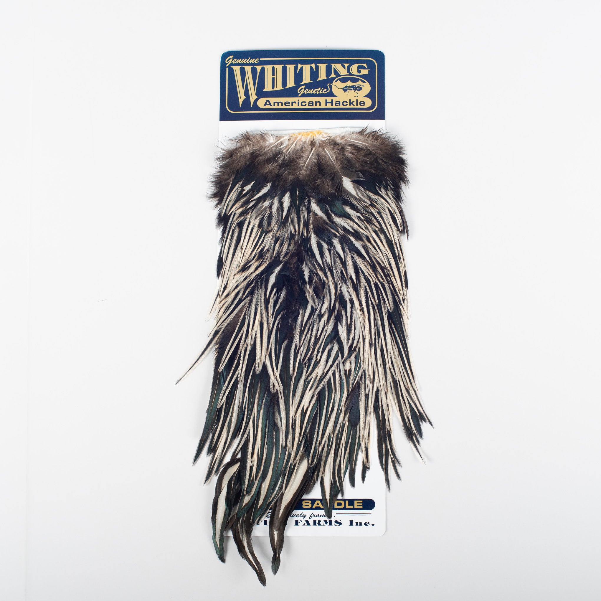 Whiting American Rooster Saddle