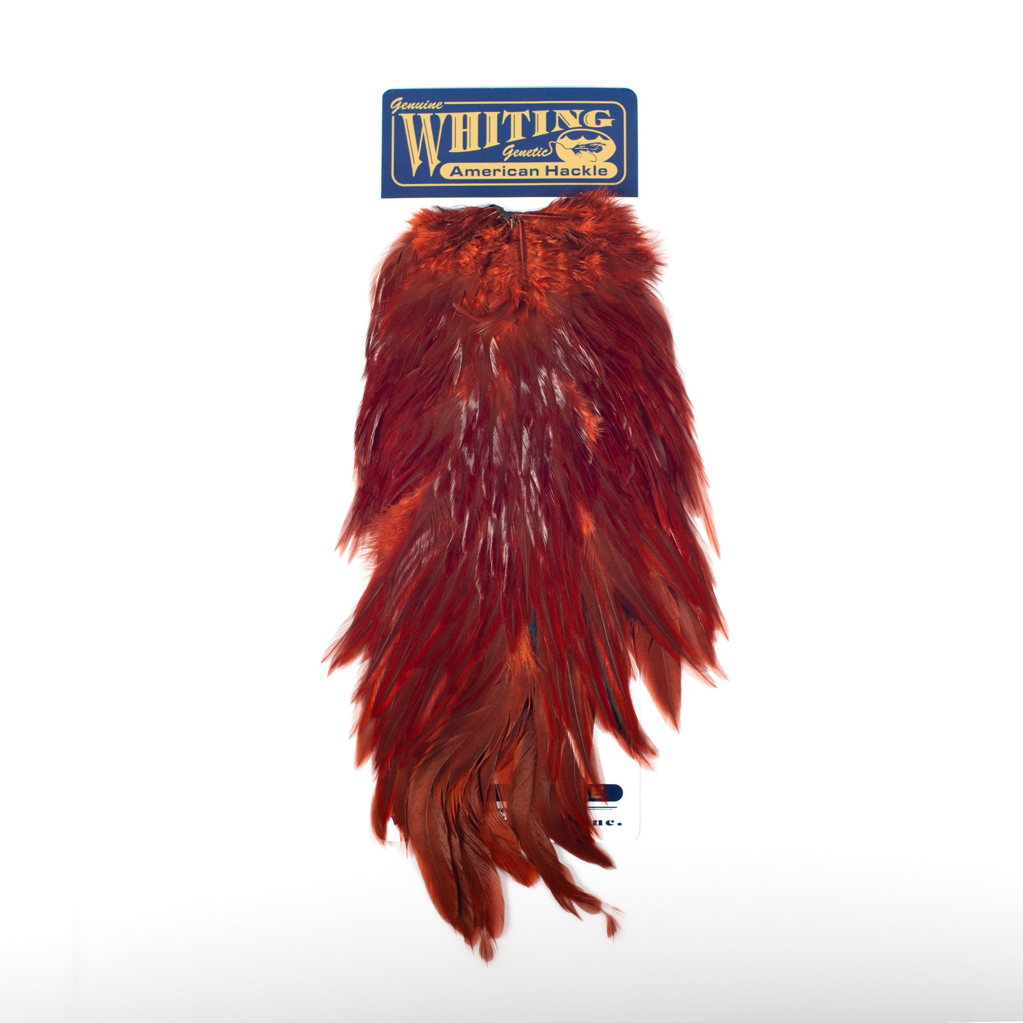 Whiting American Rooster Saddle