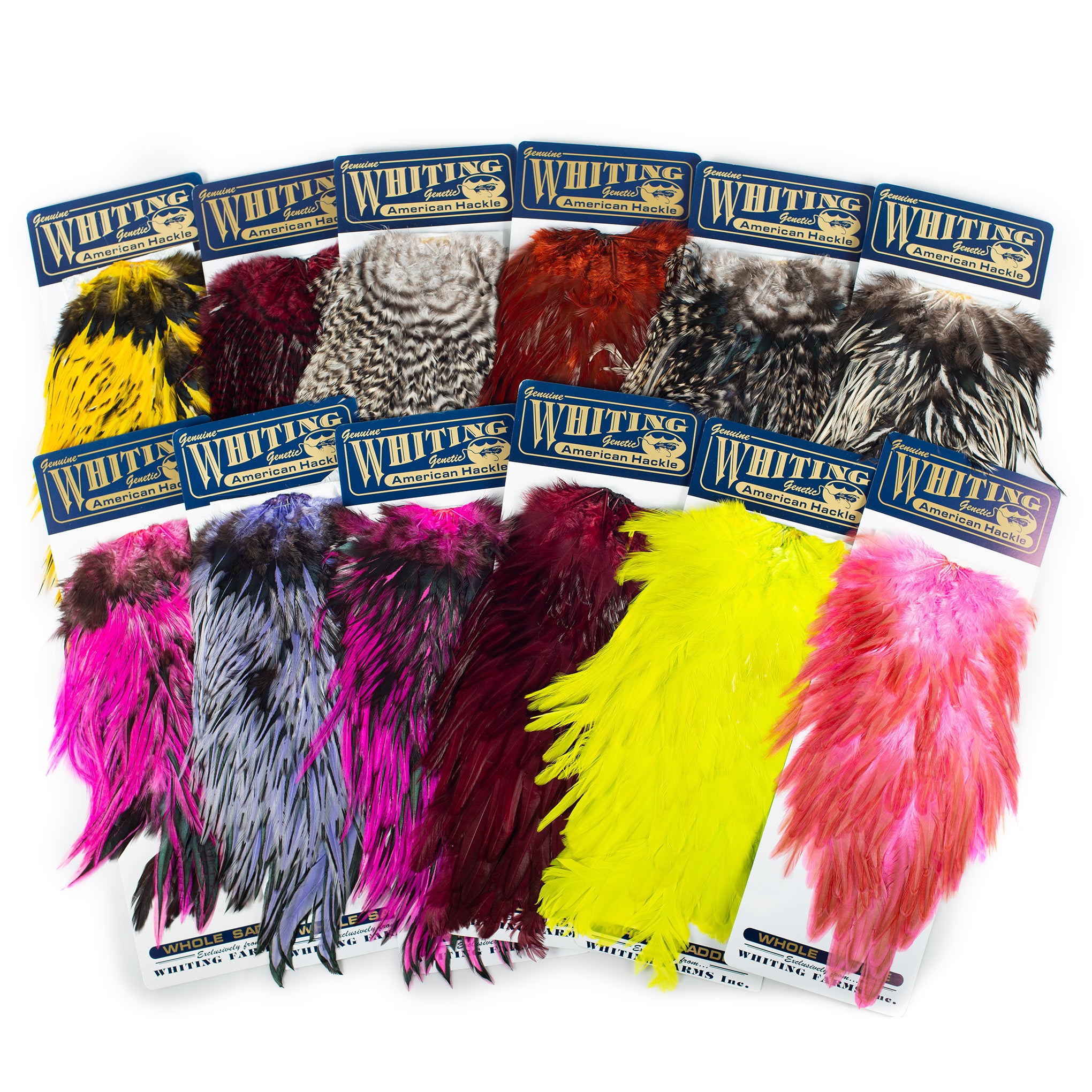 Whiting American Rooster Saddle