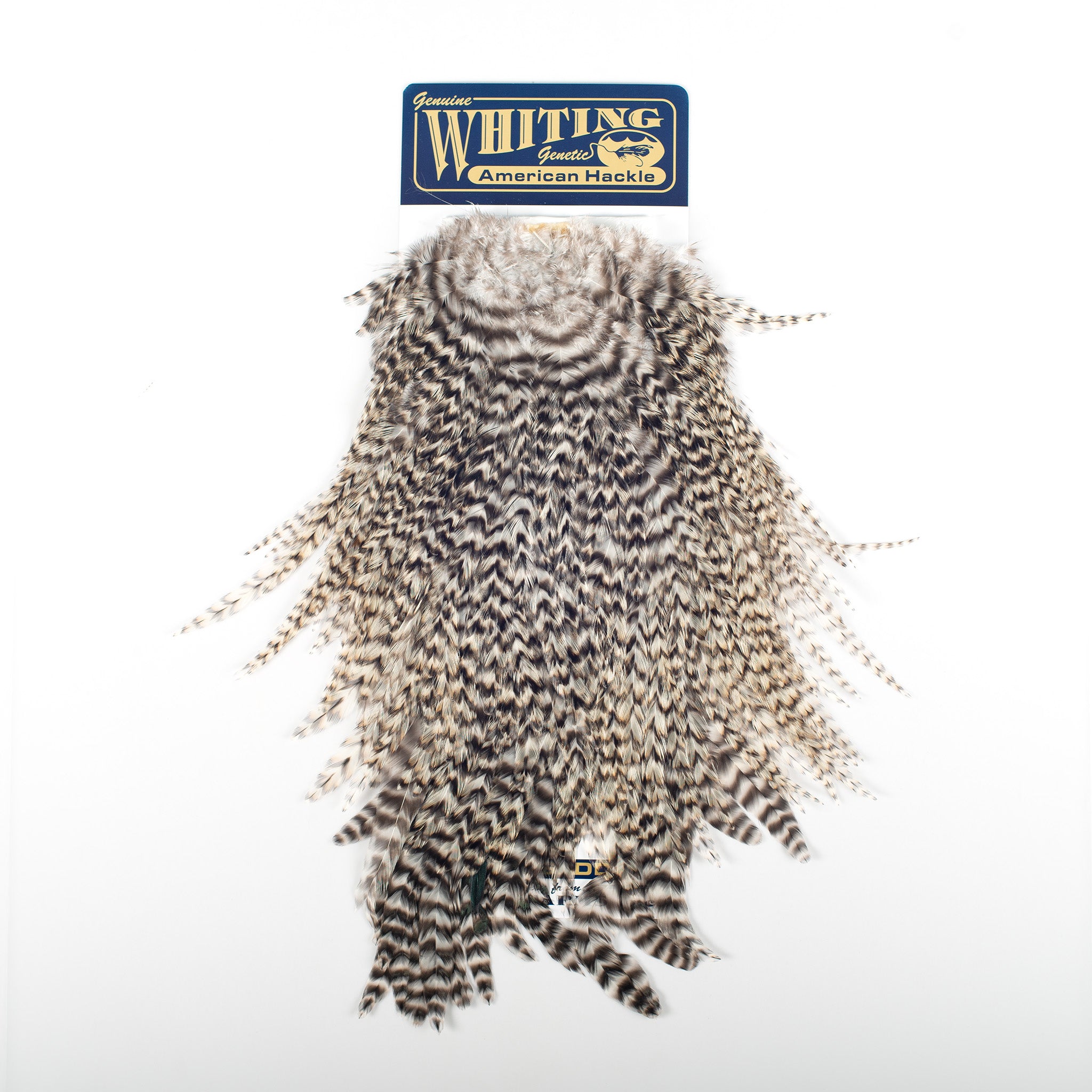 Whiting American Rooster Saddle