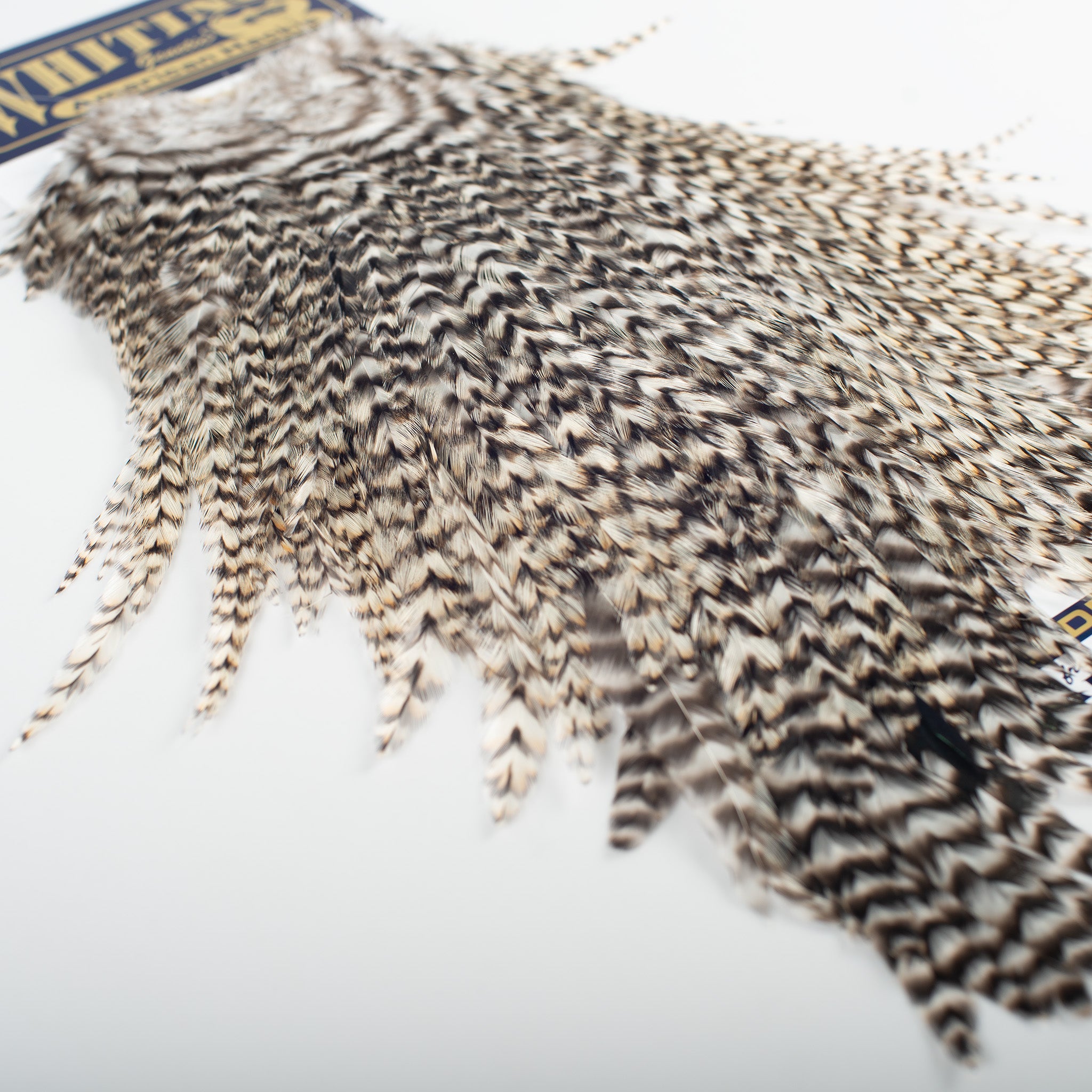 Whiting American Rooster Saddle