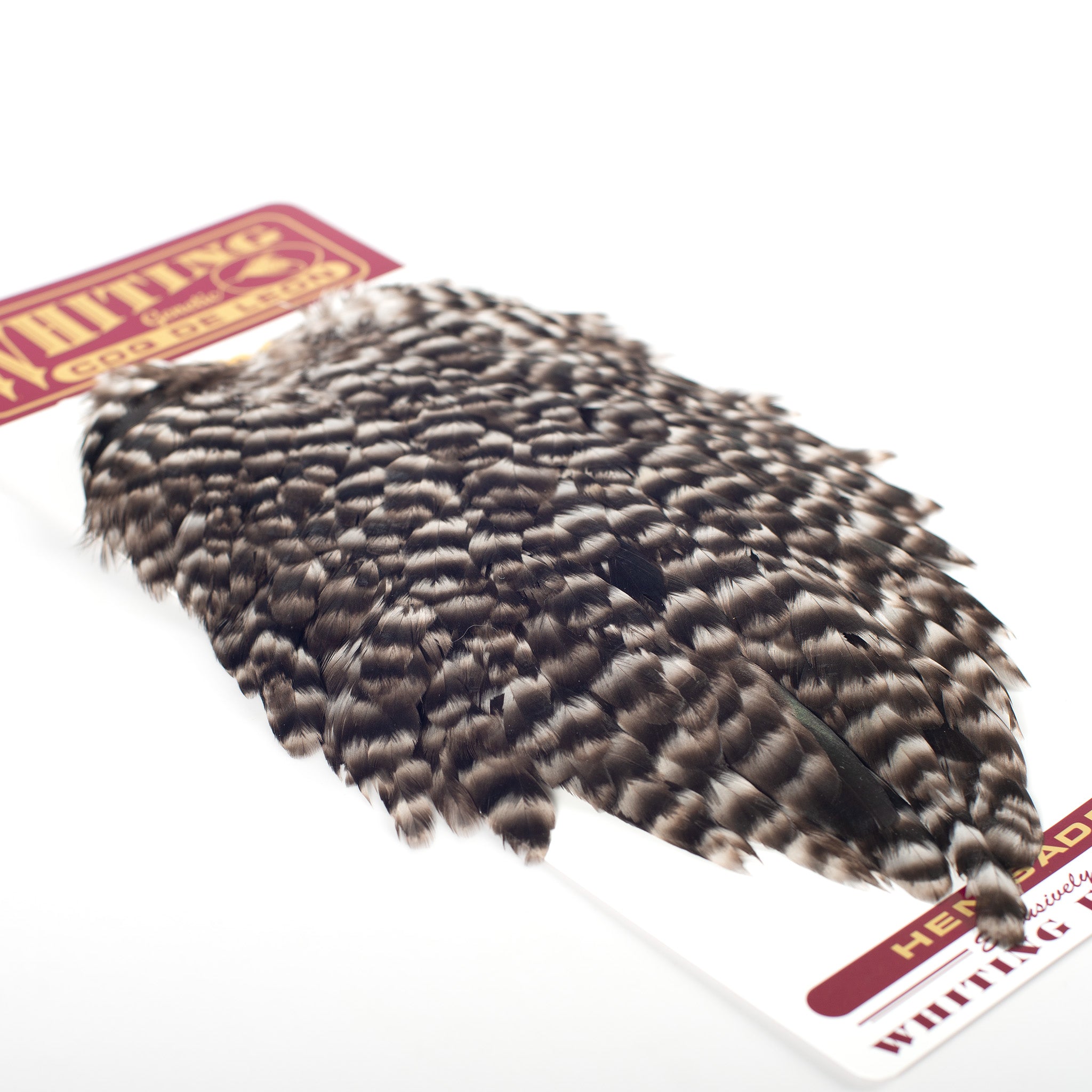 Whiting Coq De Leon Hen Saddle