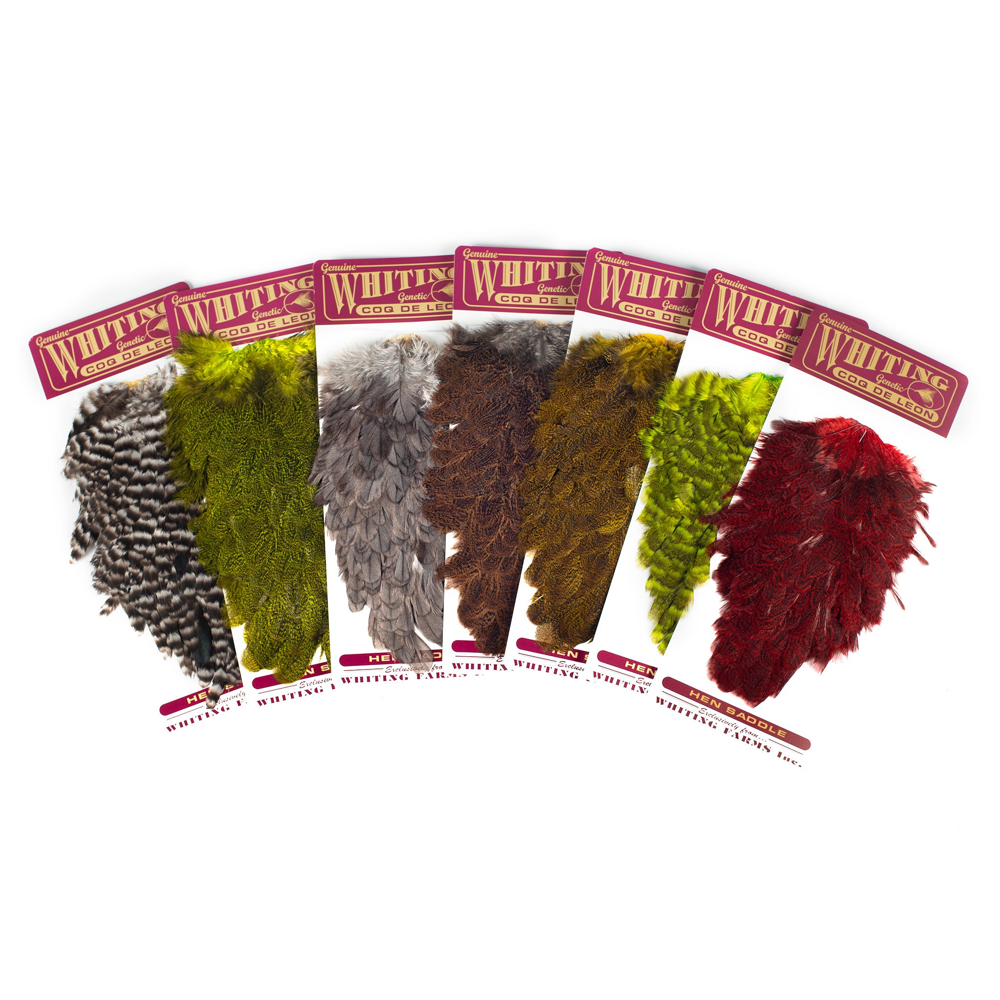 Whiting Coq De Leon Hen Saddle