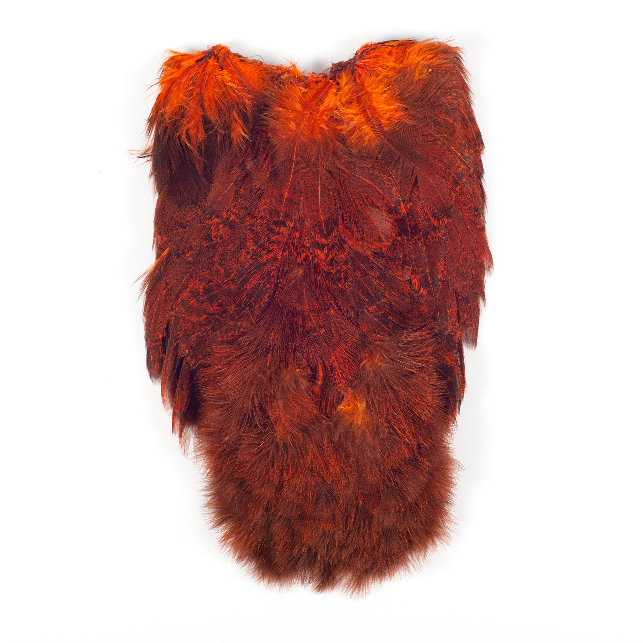 Whiting CDL Soft Hackle with Chickabou Feathers