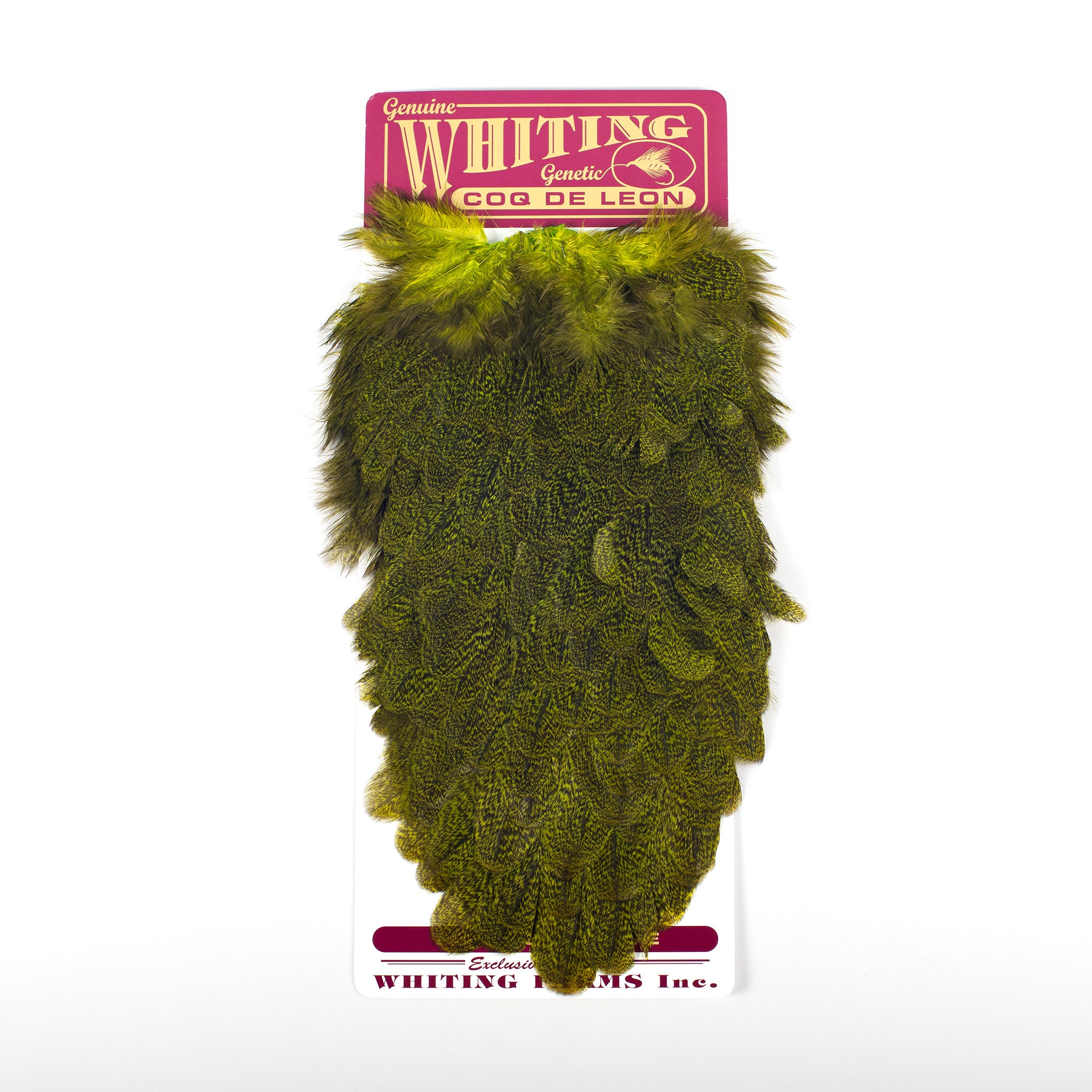 Whiting Coq De Leon Hen Saddle