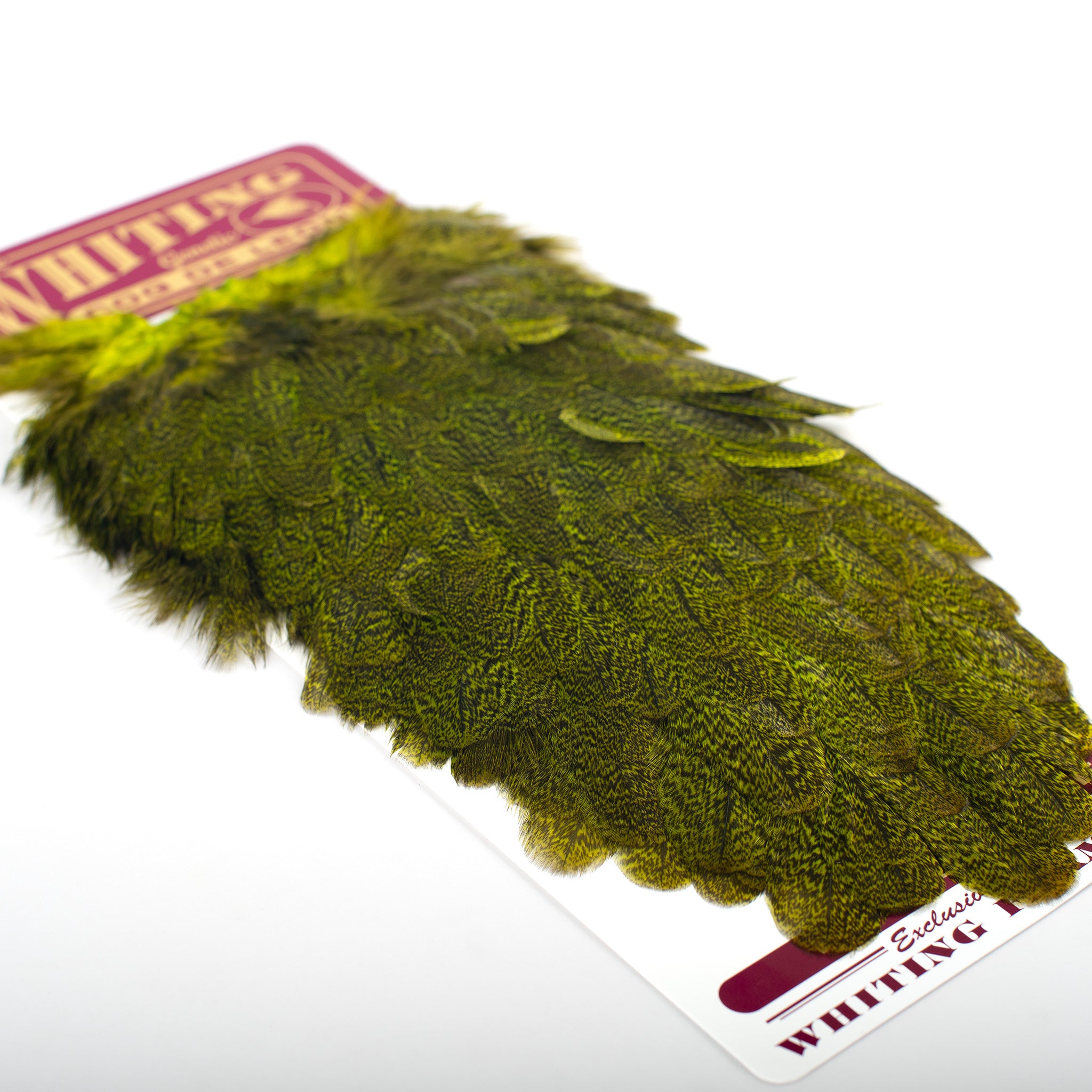 Whiting Coq De Leon Hen Saddle