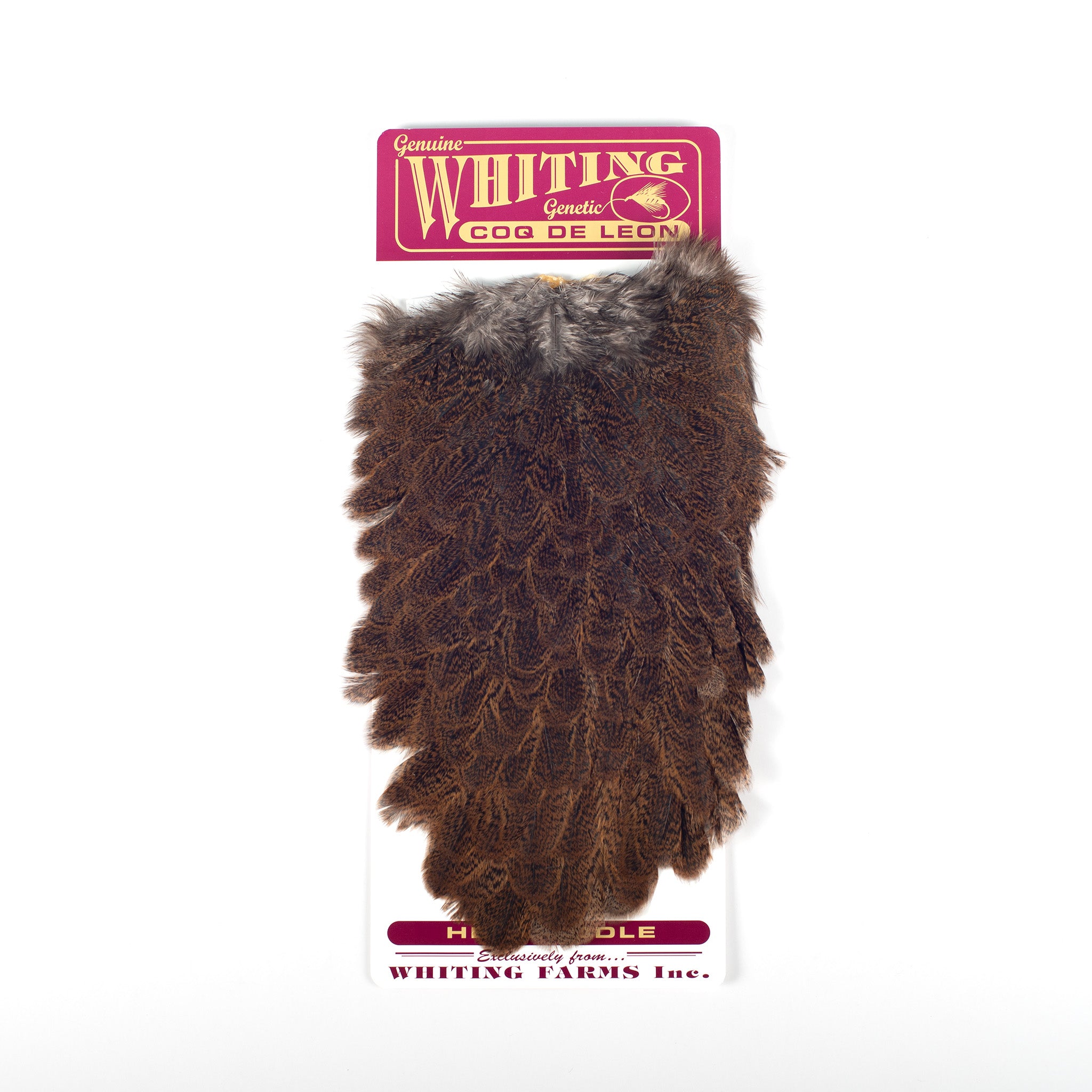 Whiting Coq De Leon Hen Saddle