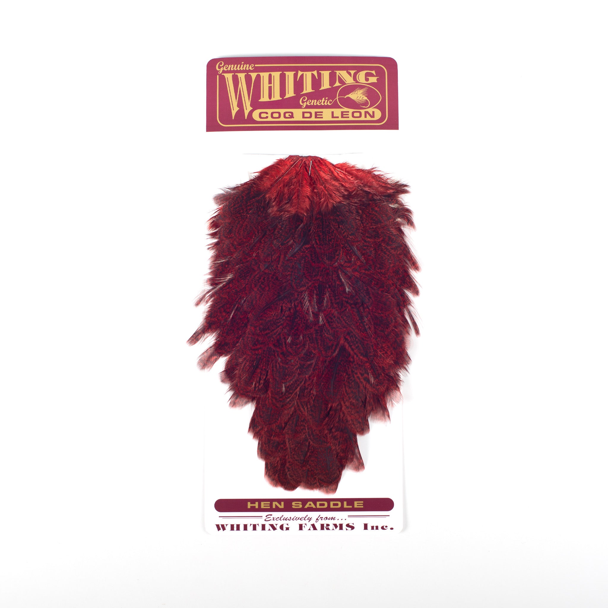 Whiting Coq De Leon Hen Saddle