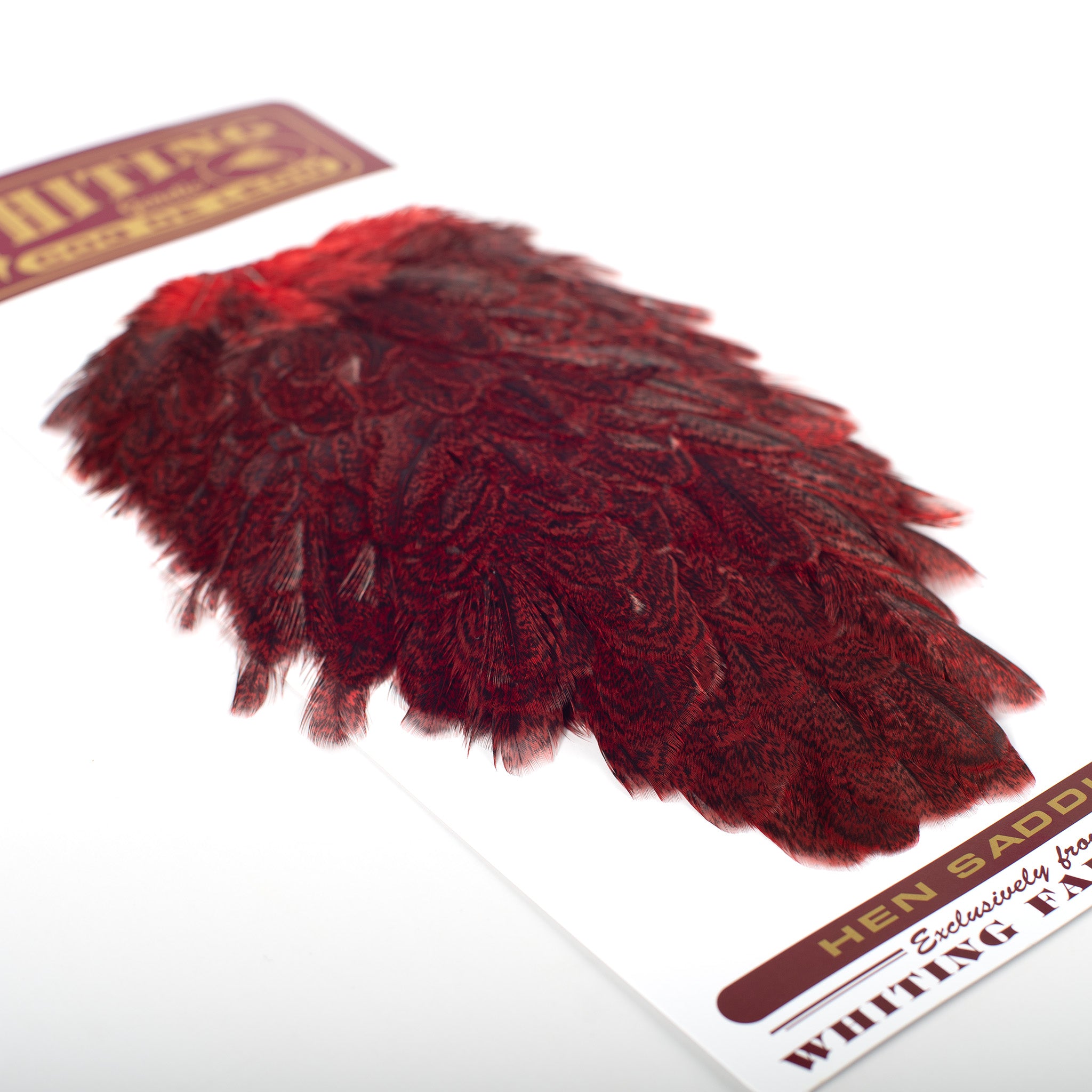 Whiting Coq De Leon Hen Saddle