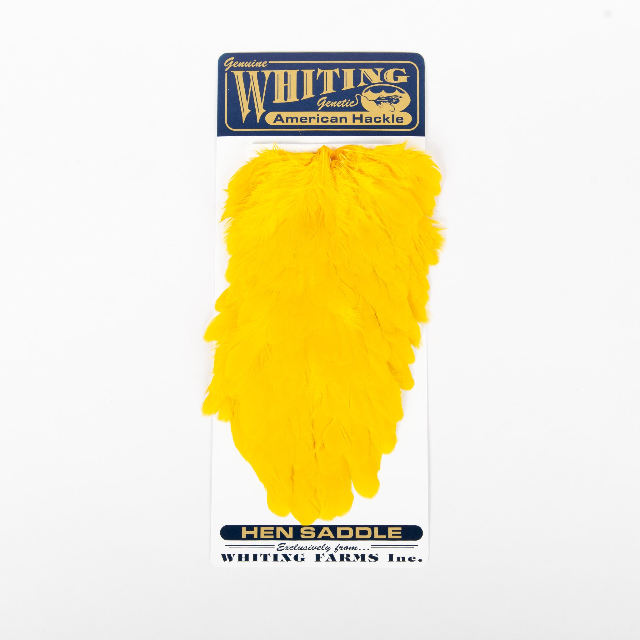 Whiting American Hen Saddle