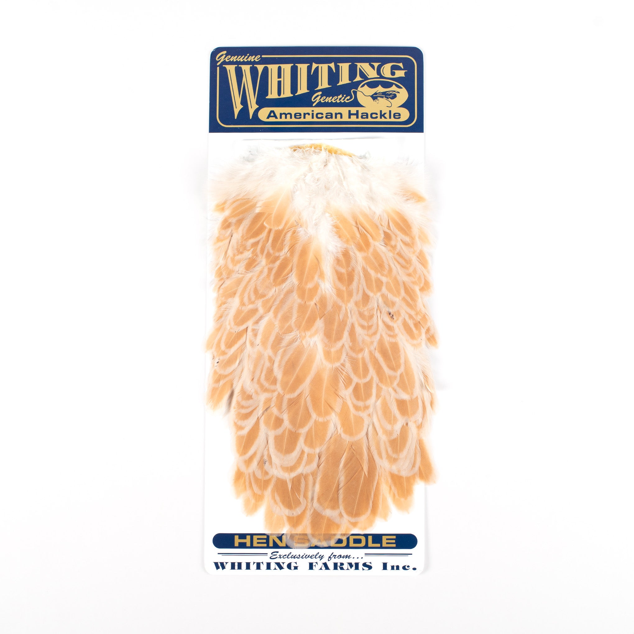 Whiting American Hen Saddle