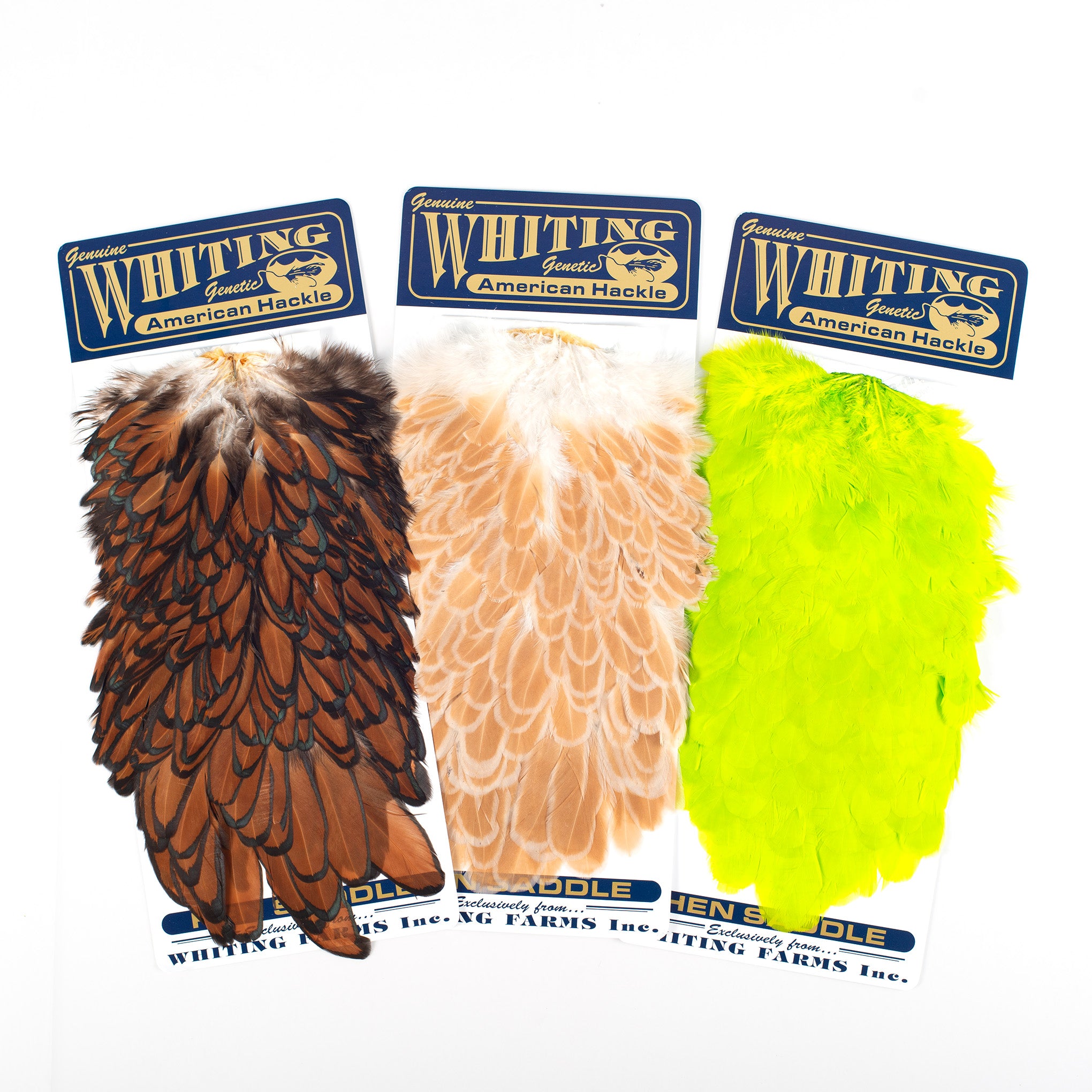 Whiting American Hen Saddle