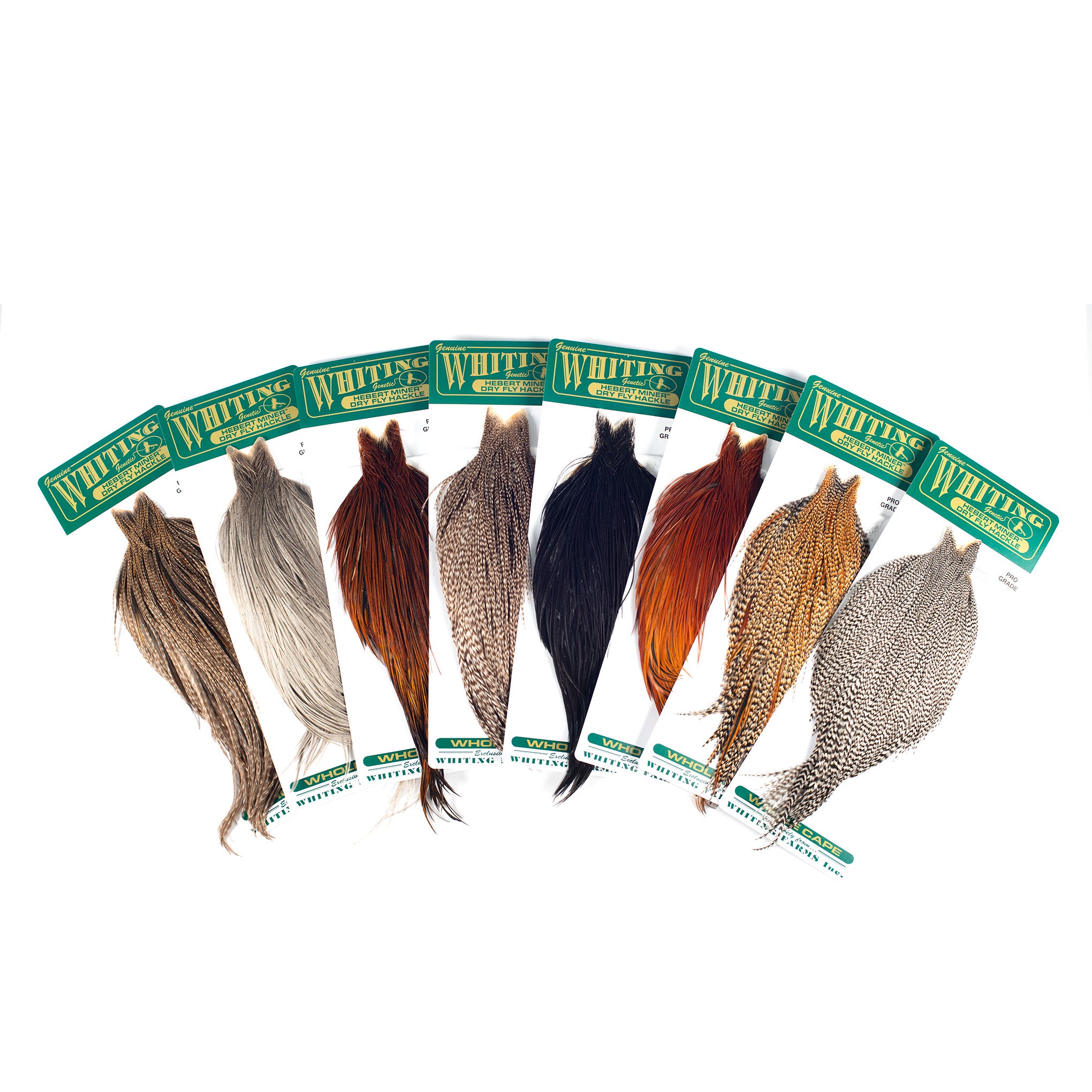 Whiting Hebert Miner Dry Fly Cape