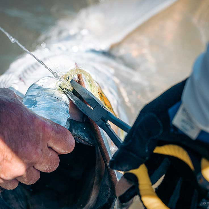 Loon - Apex Needle Nose Plier