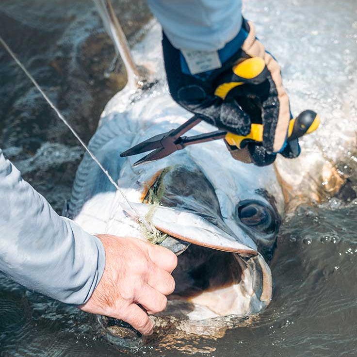 Loon - Apex Needle Nose Plier