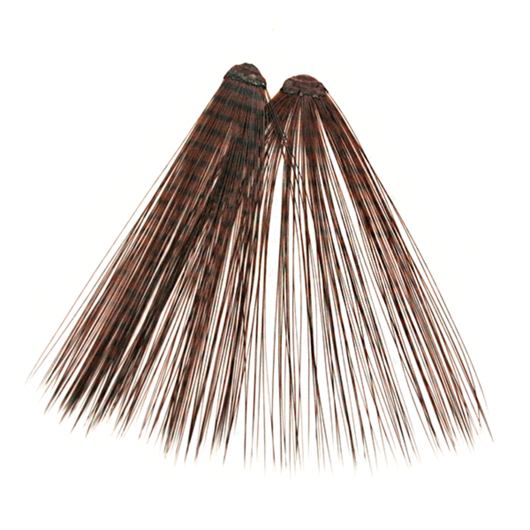 MFC Micro Barred Fibbetts