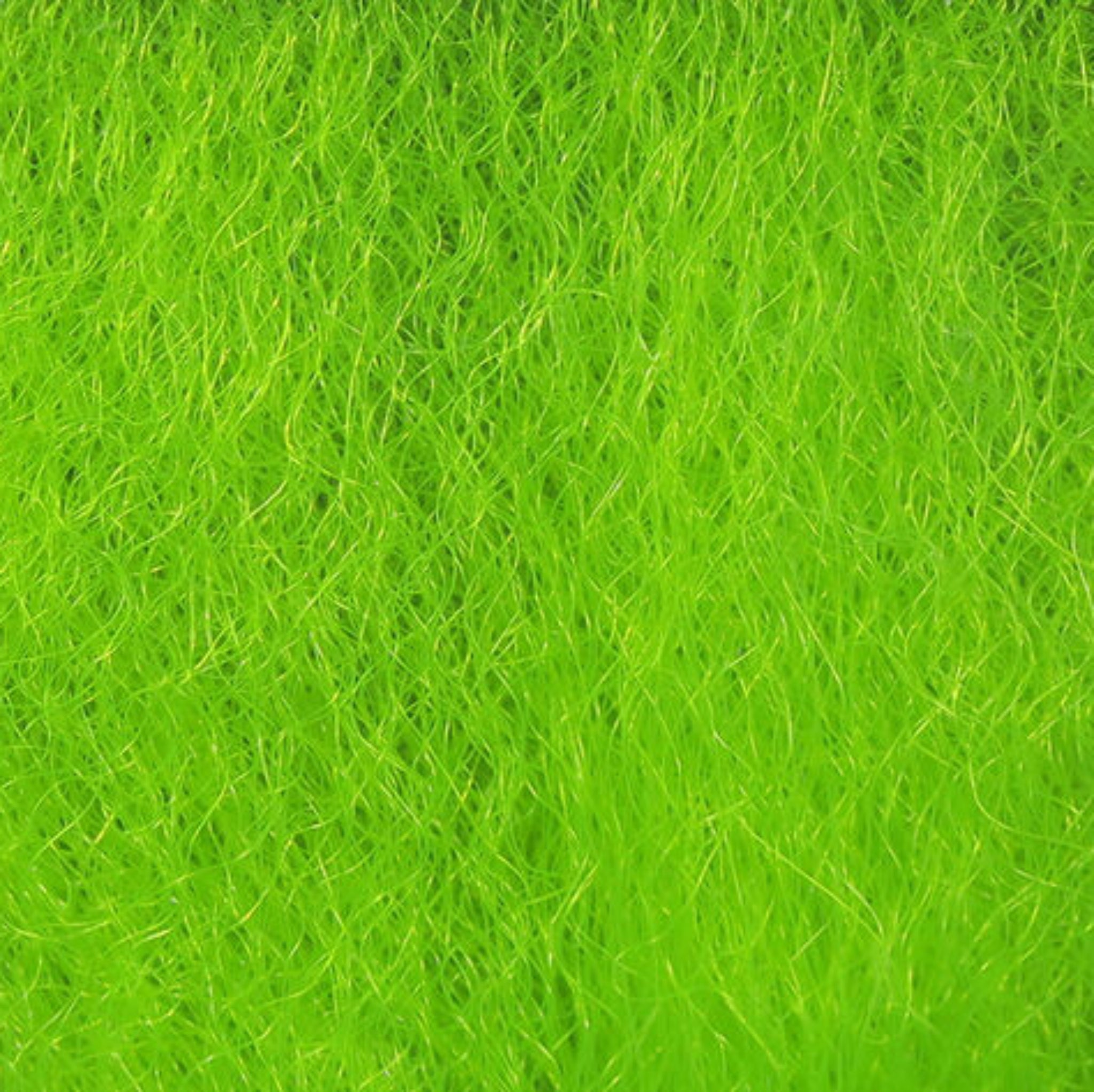 Hedron Strung Fuzzy Fiber