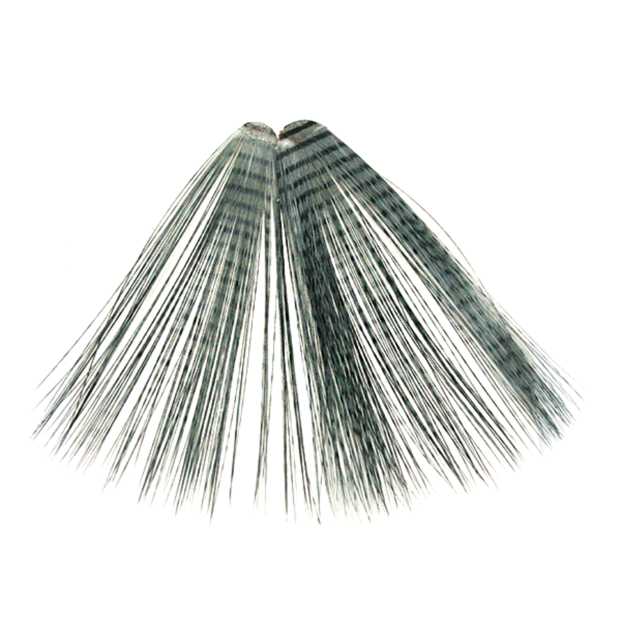 MFC Micro Barred Fibbetts