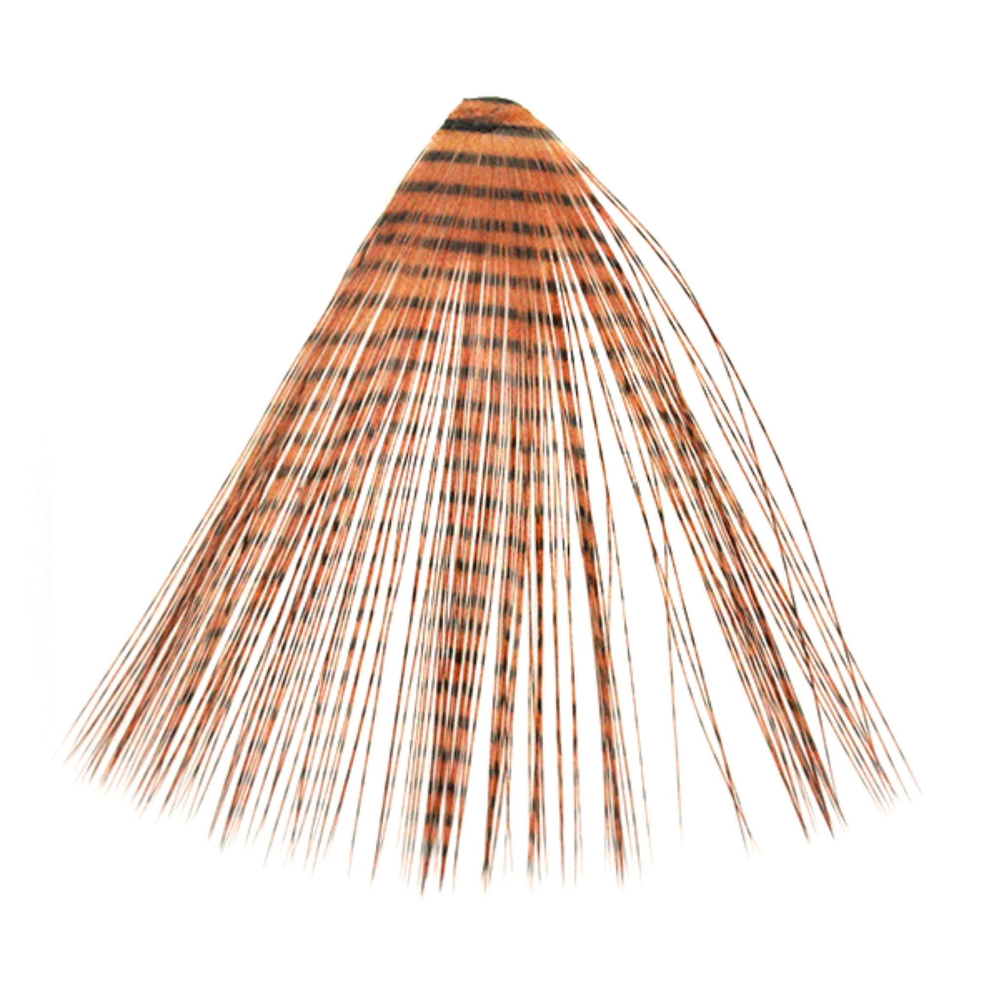 MFC Micro Barred Fibbetts