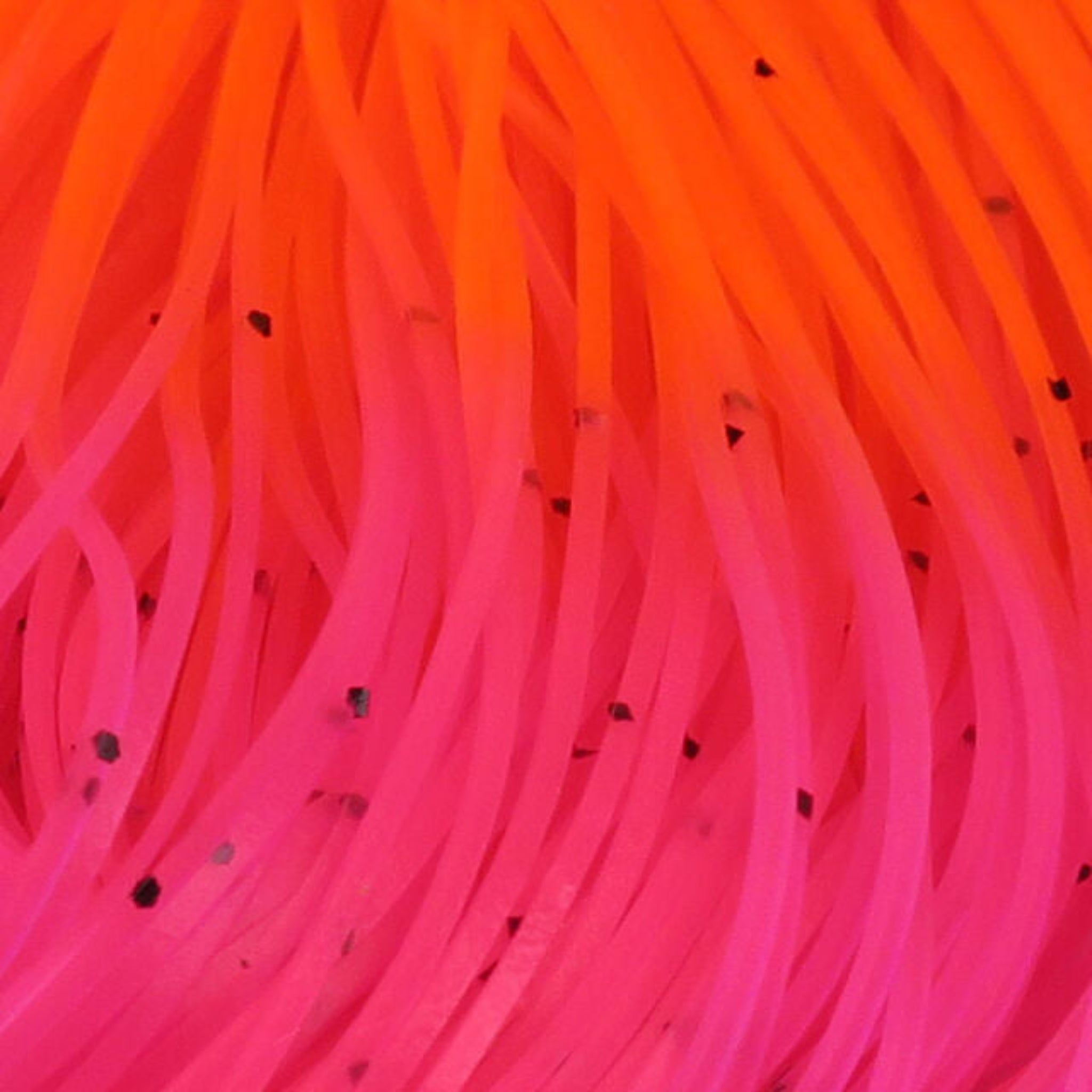 Hareline Hot Tipped Crazy Legs