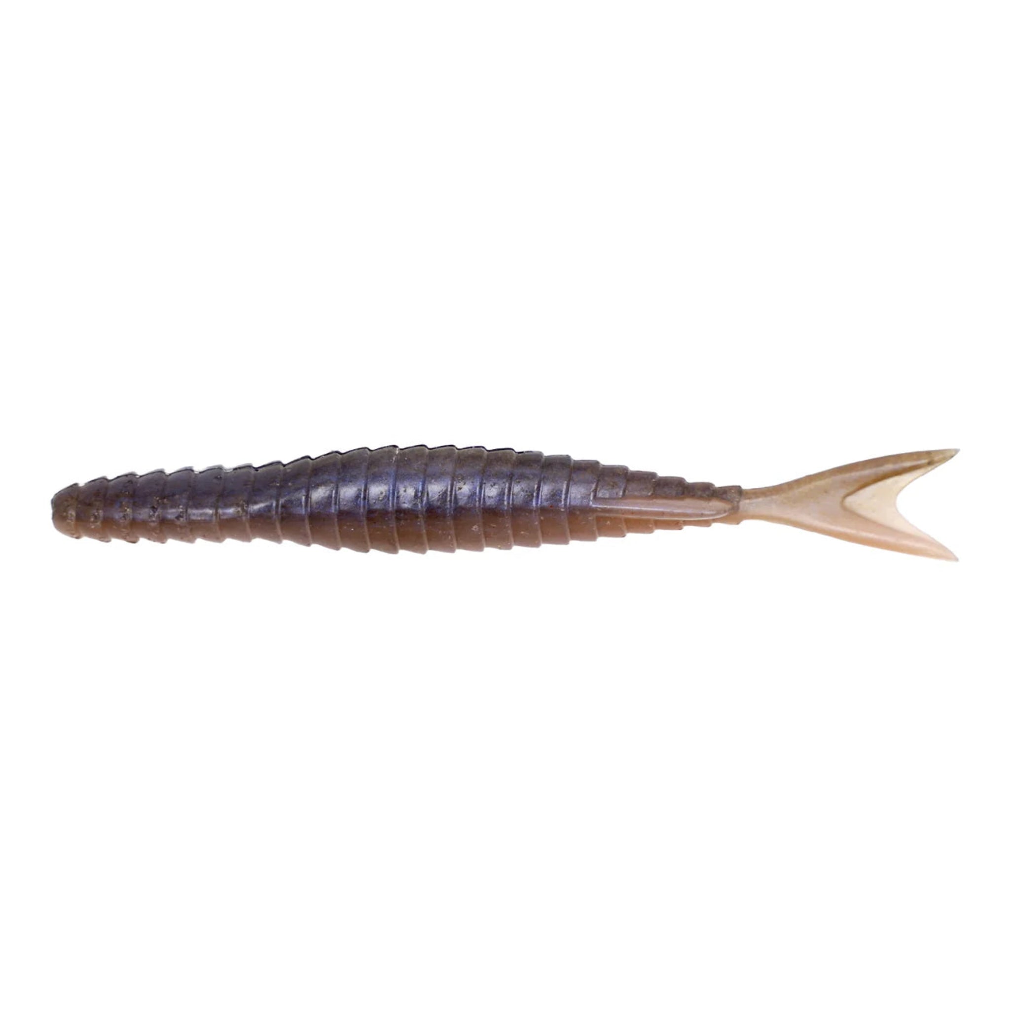 Galápagos Zegrashad 5.8"