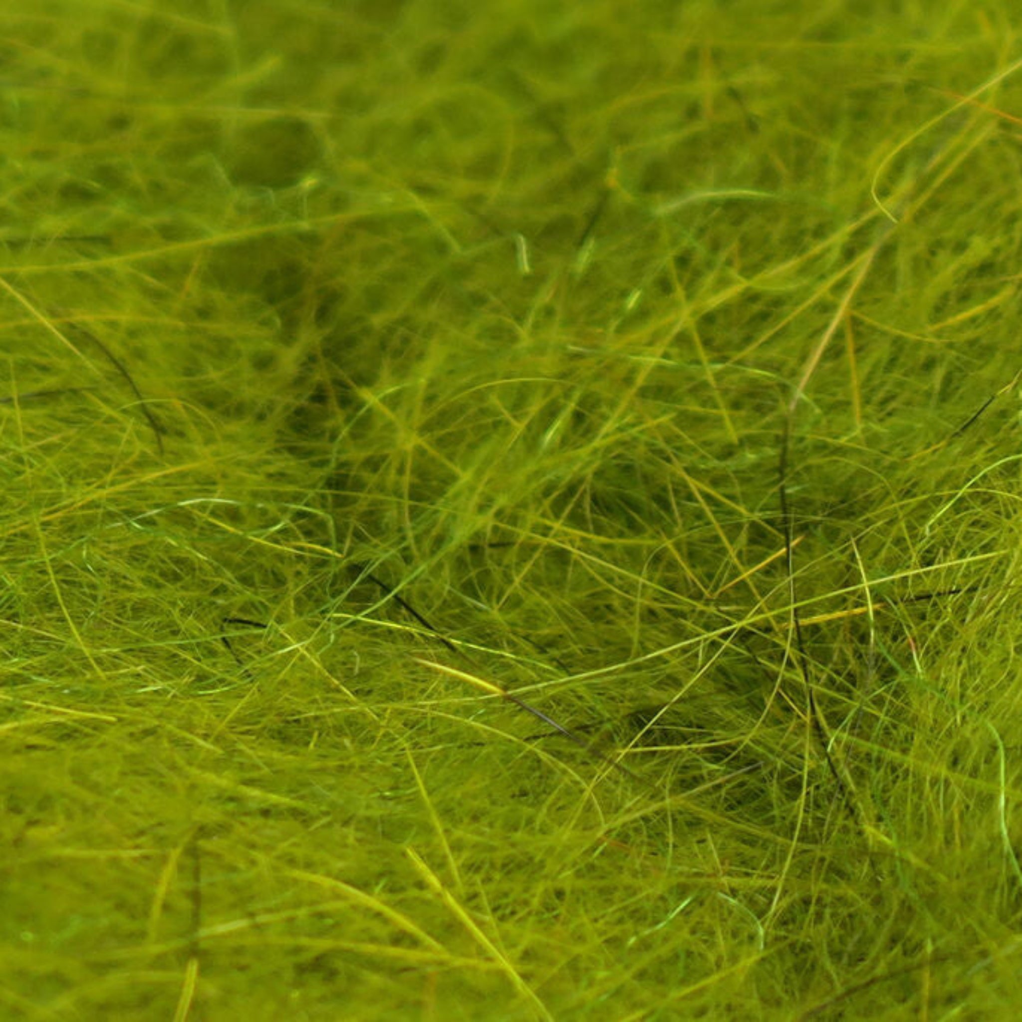 Hareline Squirrel Hair Dubbing