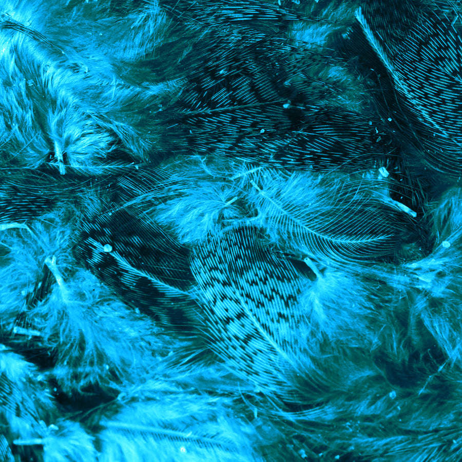 Hareline Premium Hungarian Partridge Feathers