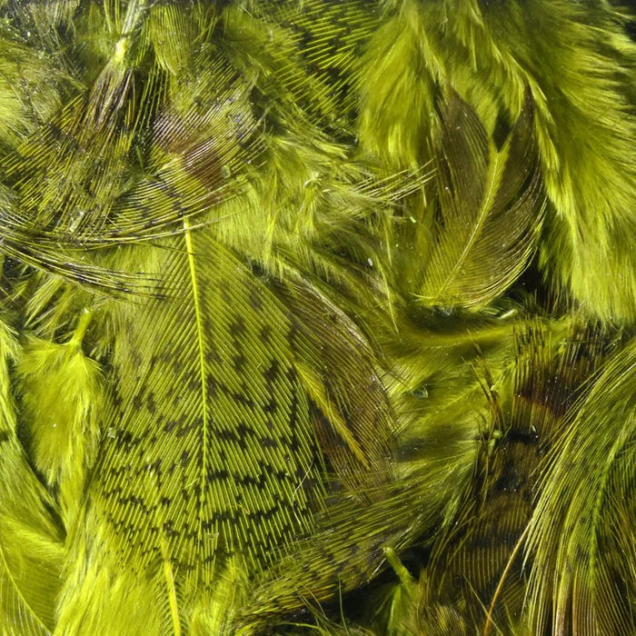 Hareline Premium Hungarian Partridge Feathers