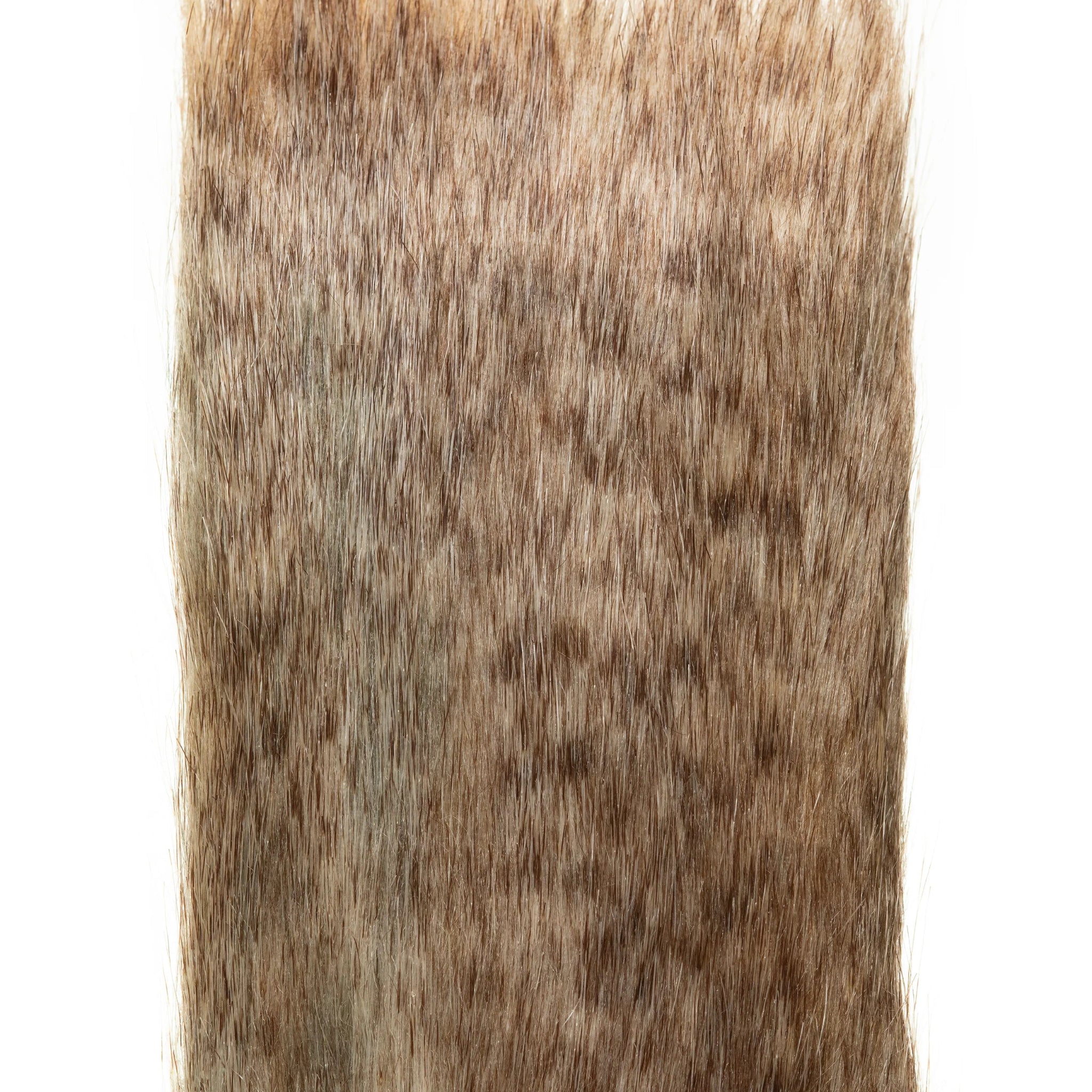 EP Animal Craft Fur