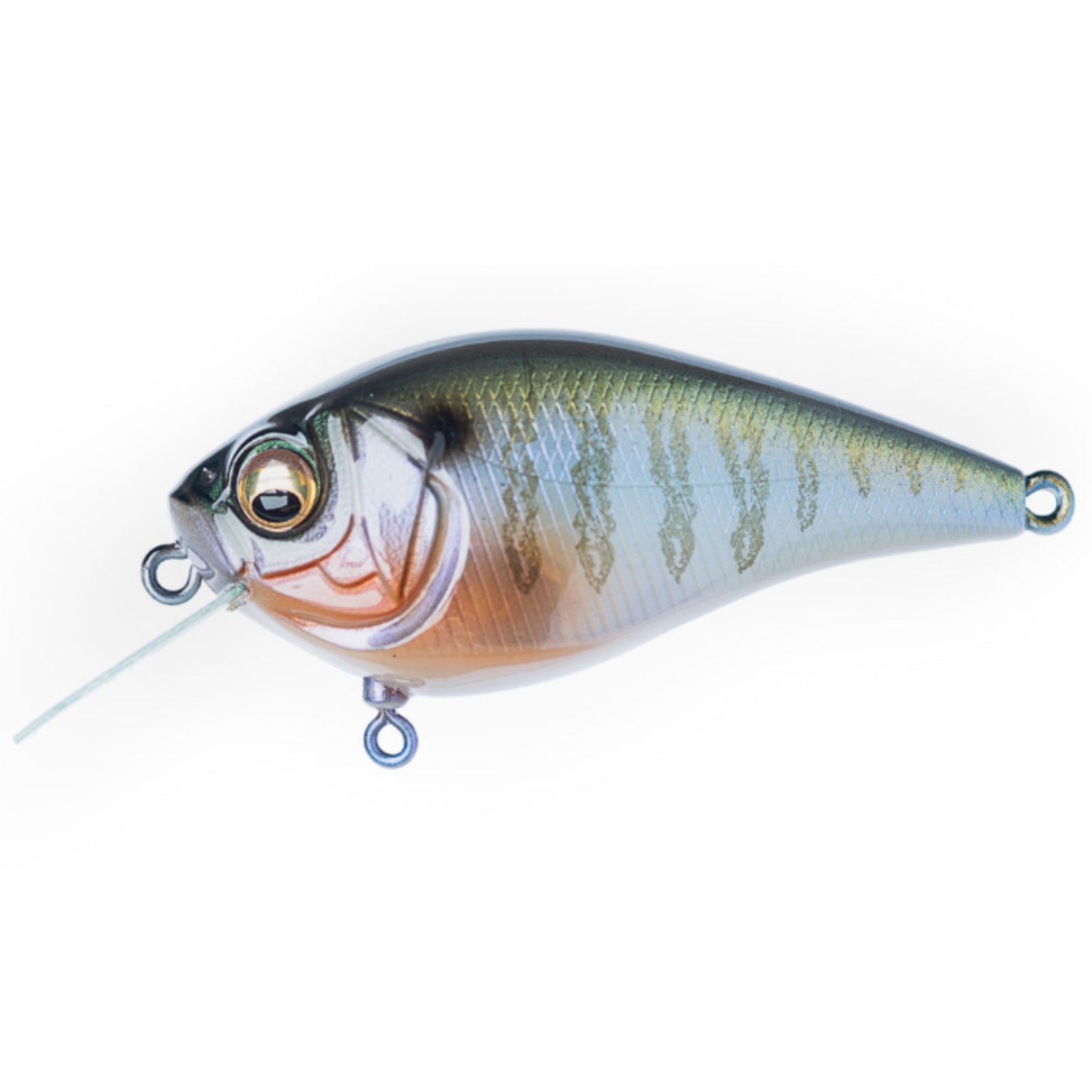 Megabass Knuckle LD Crankbait