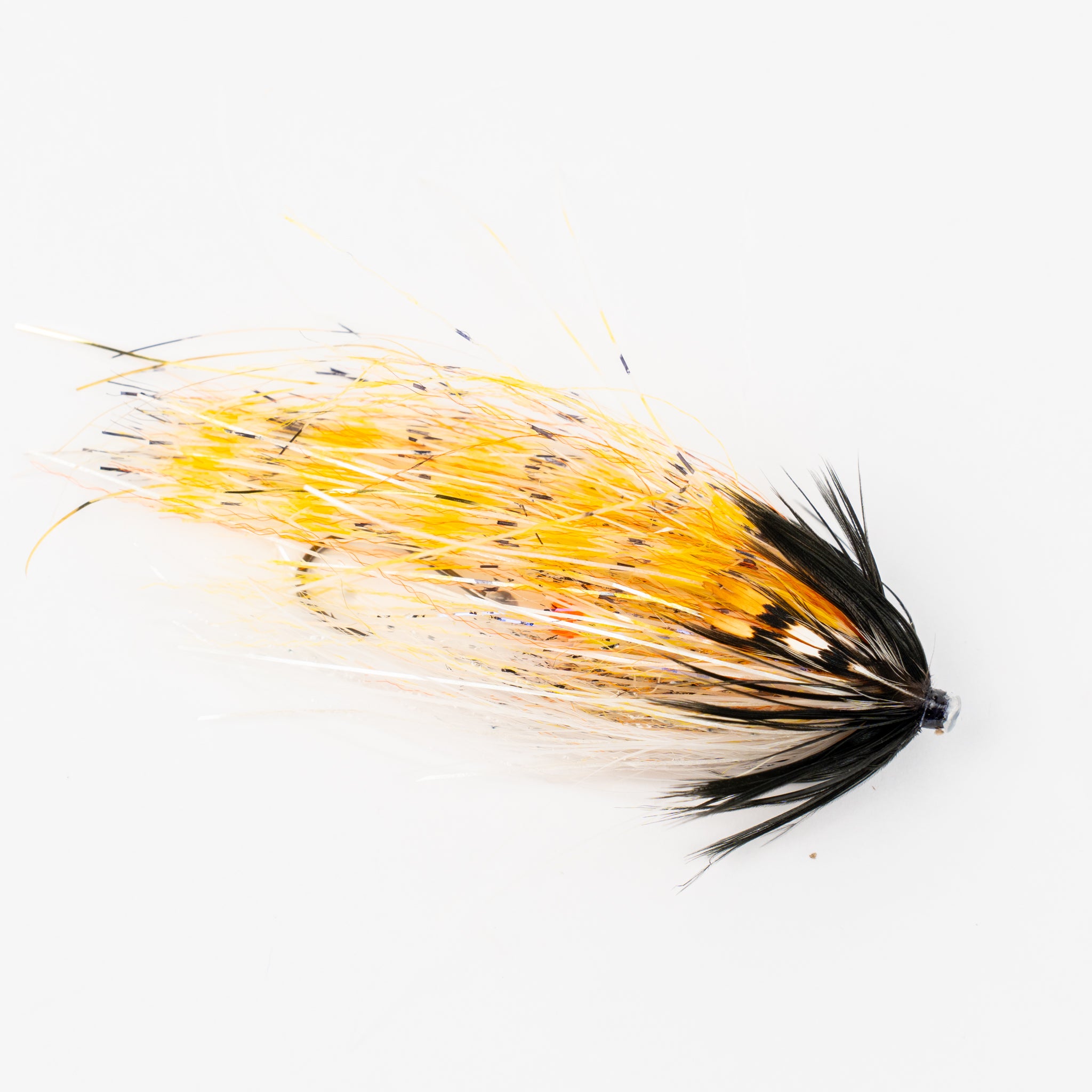 Senyo's Three O'Clock Shadow (Locally Tied)