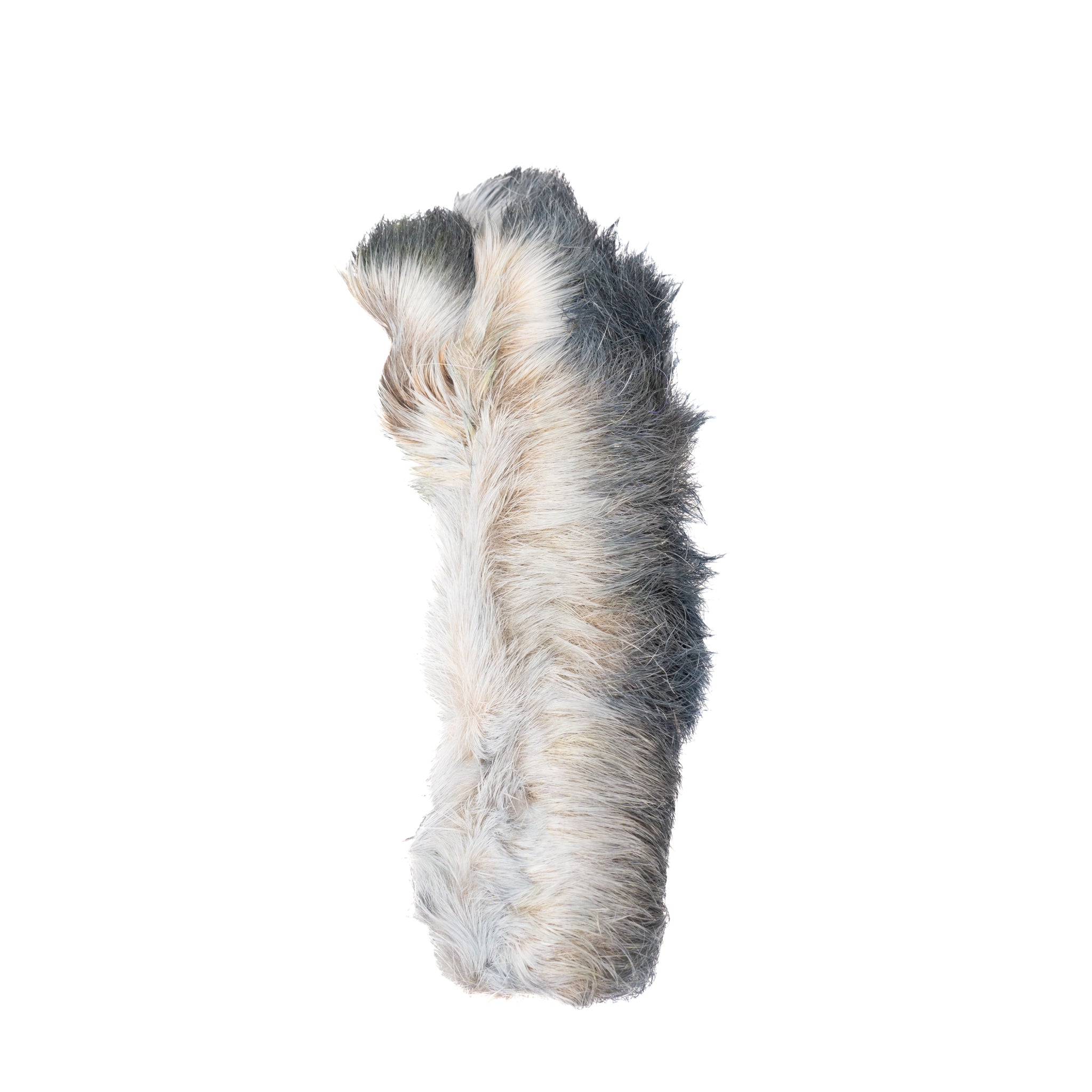 Spent Fly Fishing Snowshoe Hare Foot