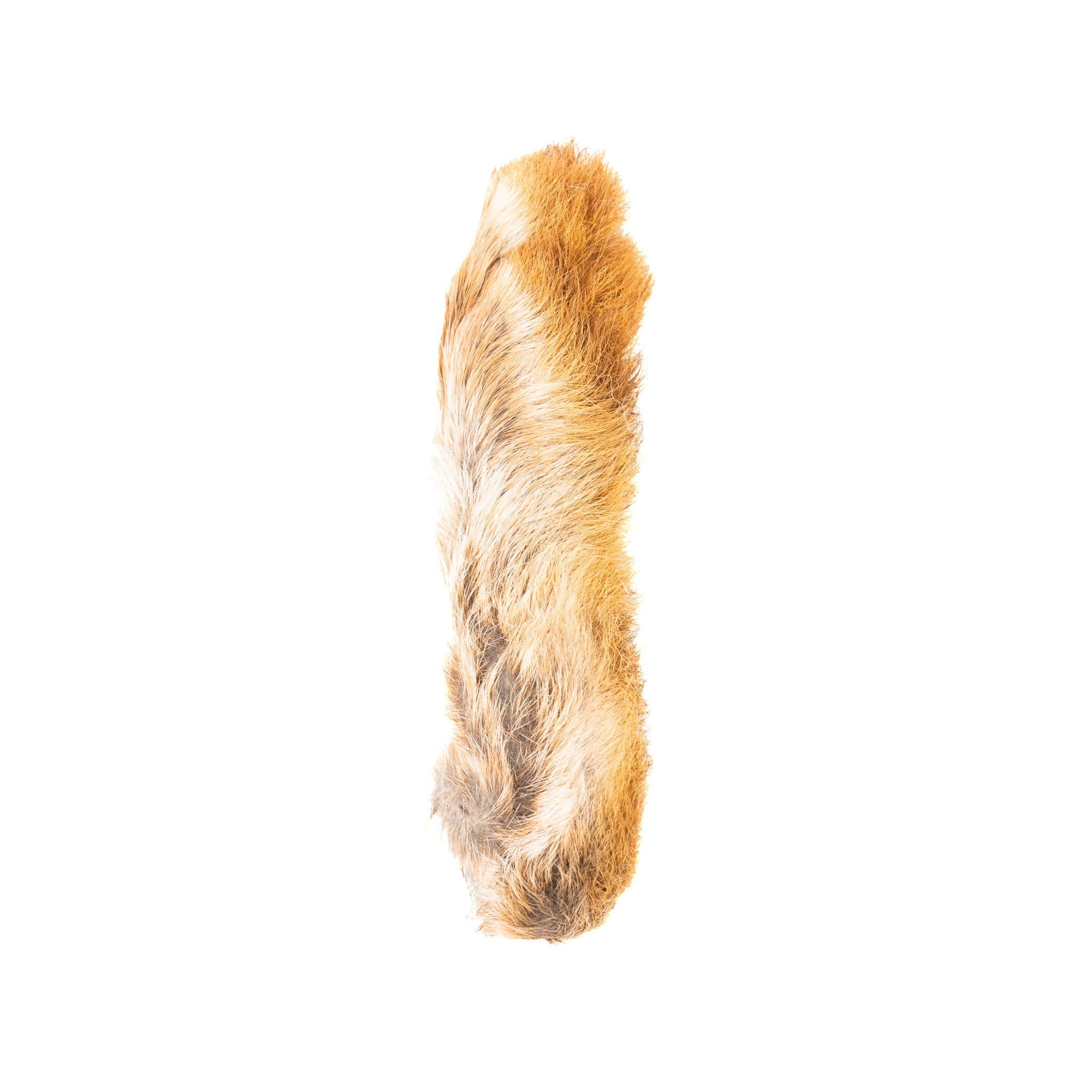 Spent Fly Fishing Snowshoe Hare Foot