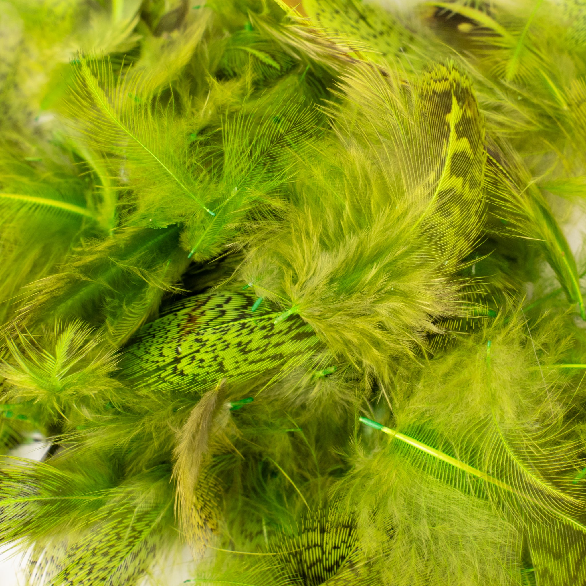 Spent Fly Fishing Hungarian Partridge Feathers
