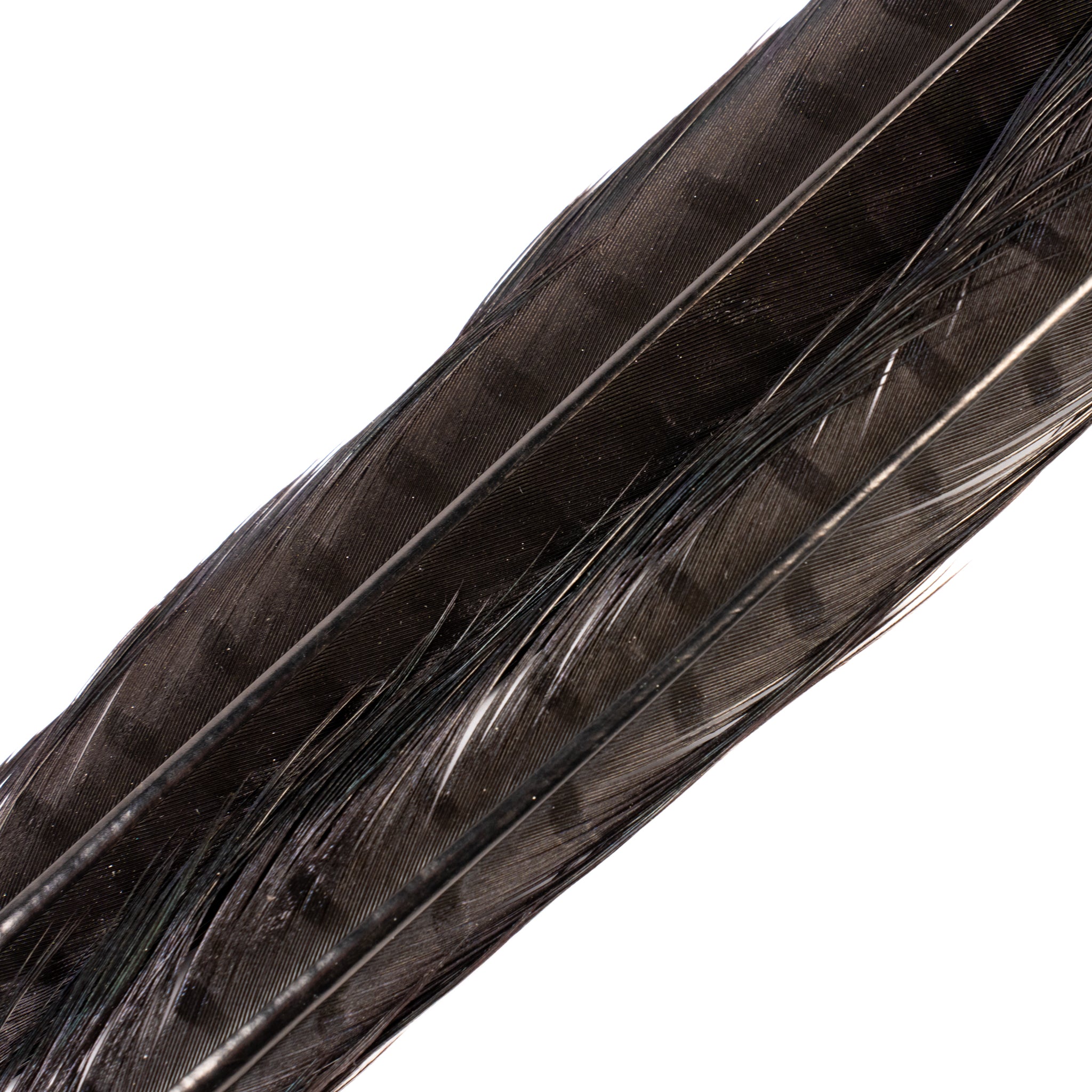 Spent Fly Fishing Pheasant Tail Center Pair