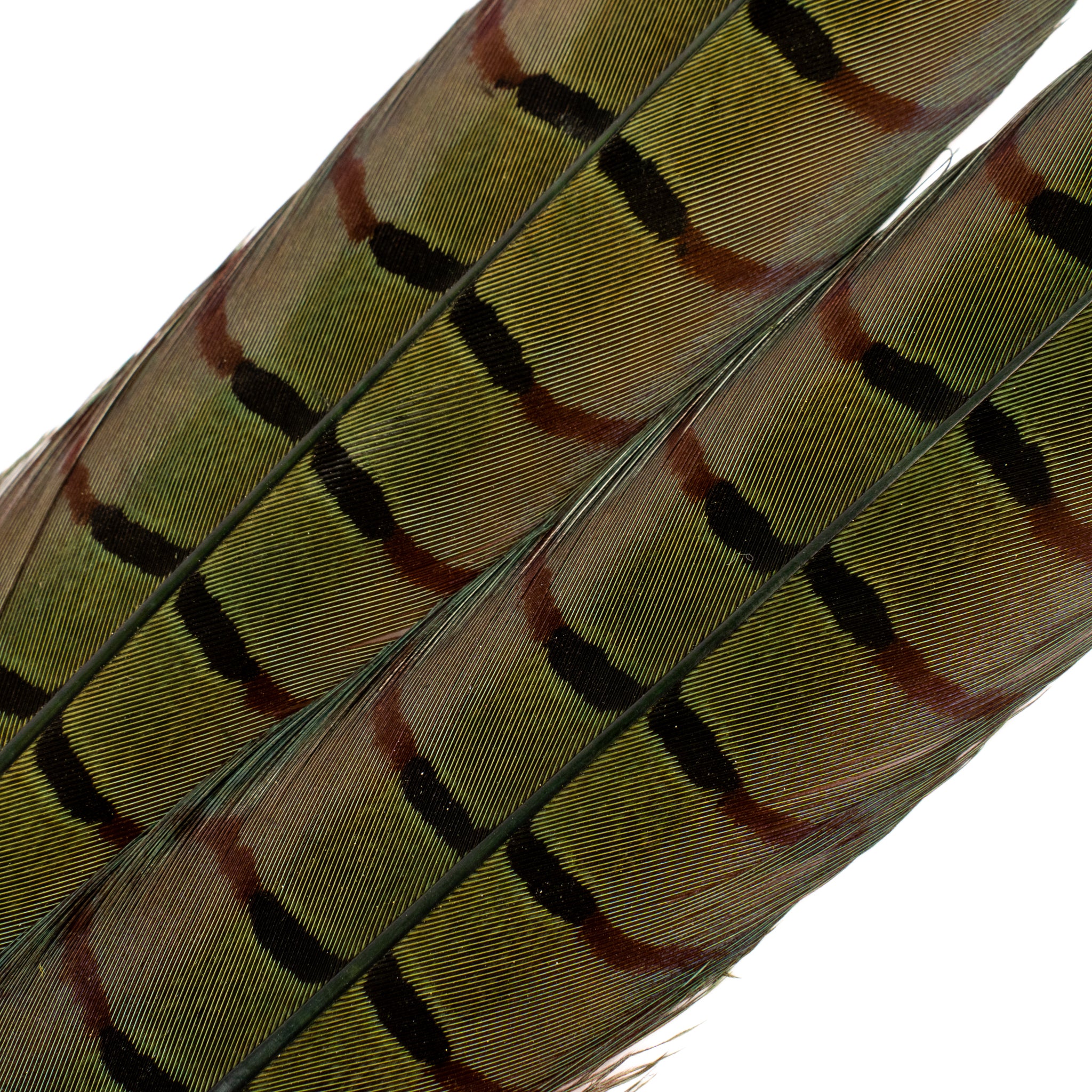 Spent Fly Fishing Pheasant Tail Center Pair