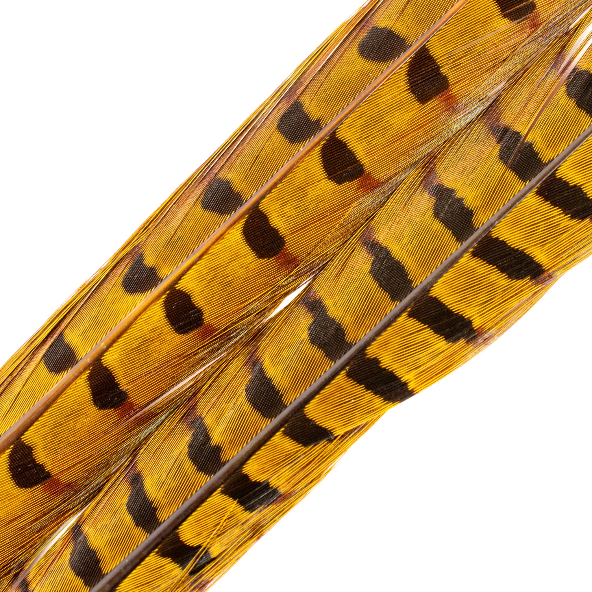 Spent Fly Fishing Pheasant Tail Center Pair