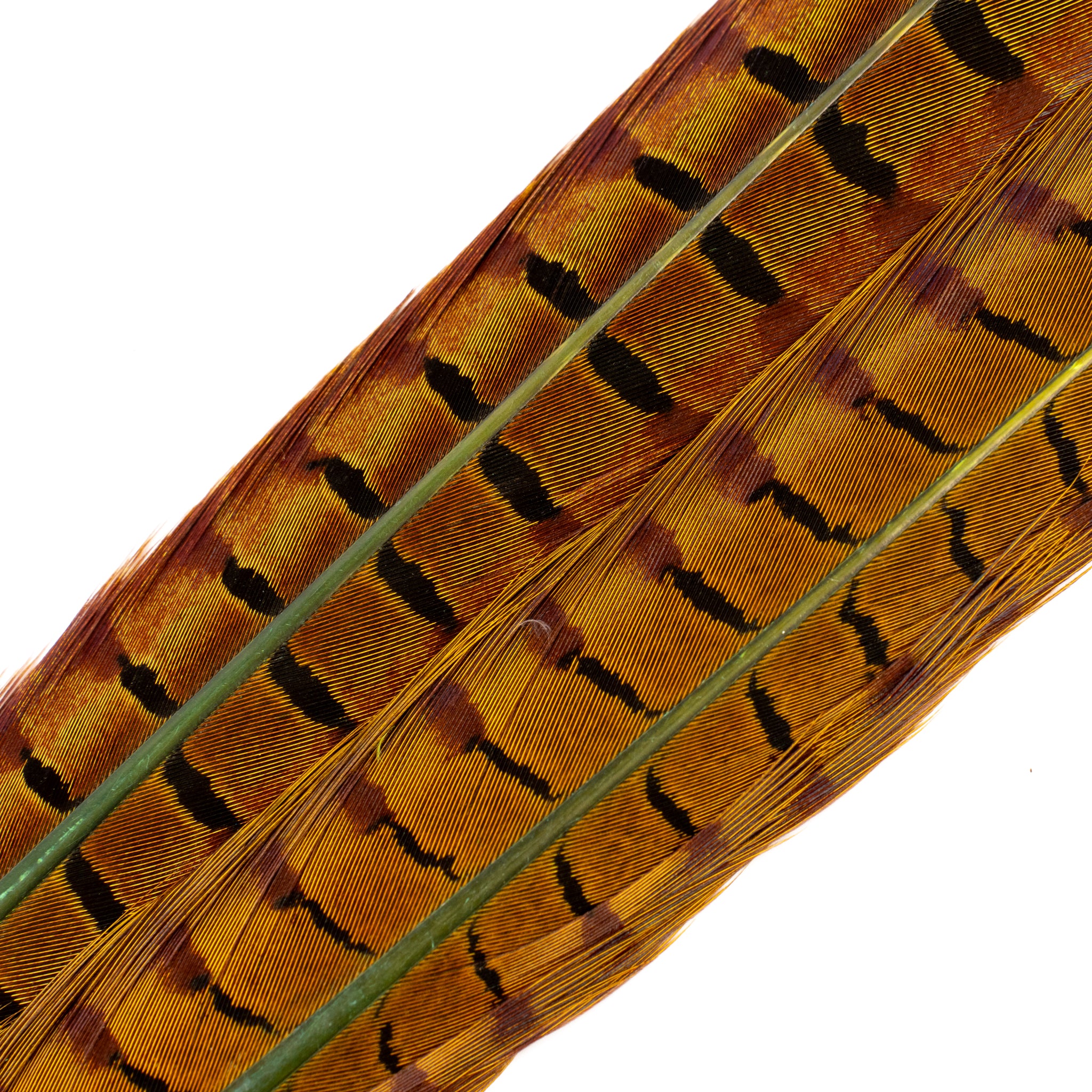Spent Fly Fishing Pheasant Tail Center Pair