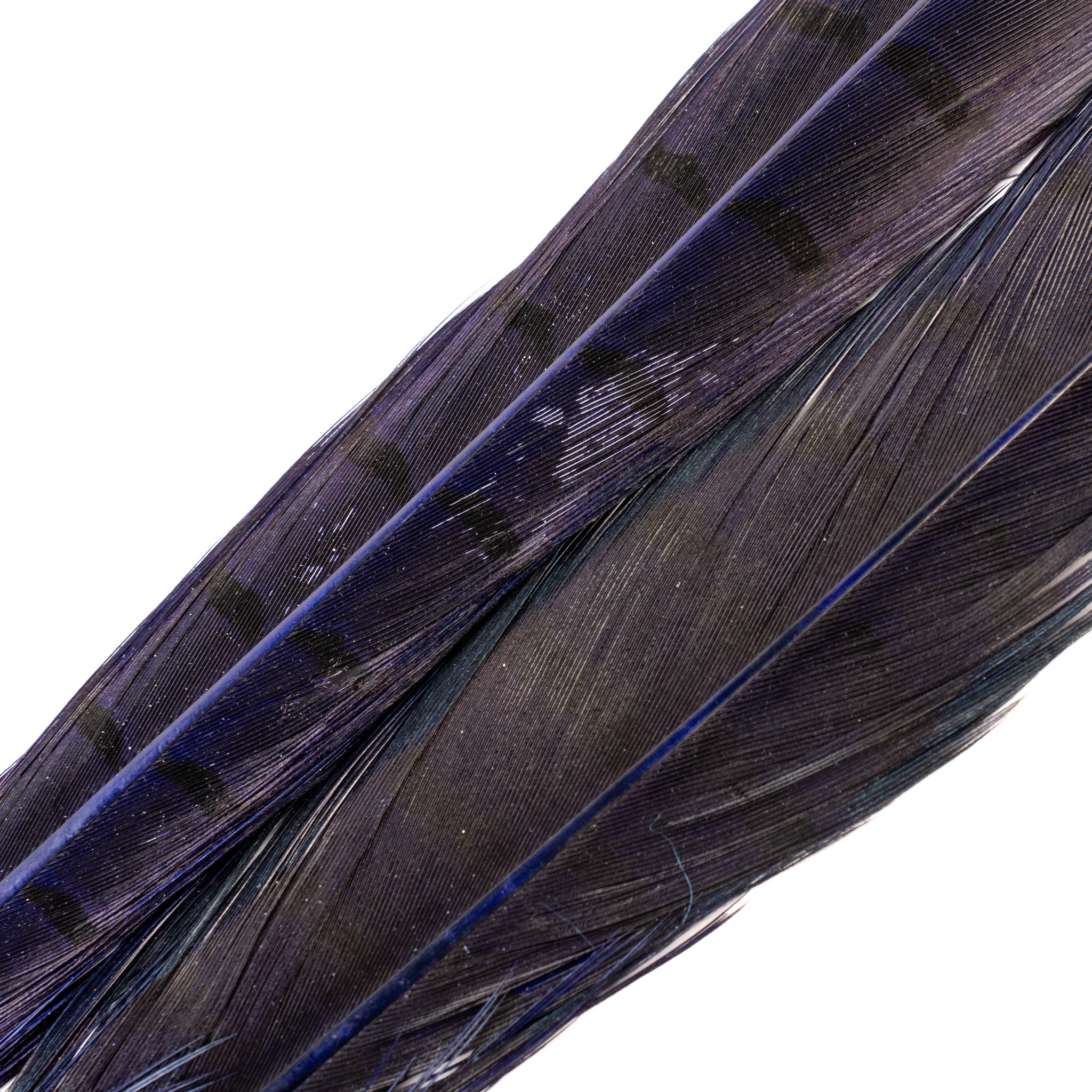 Spent Fly Fishing Pheasant Tail Center Pair