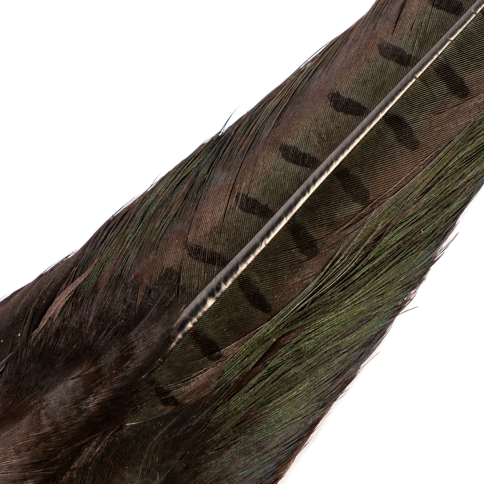 Spent Fly Fishing Pheasant Tail Clump