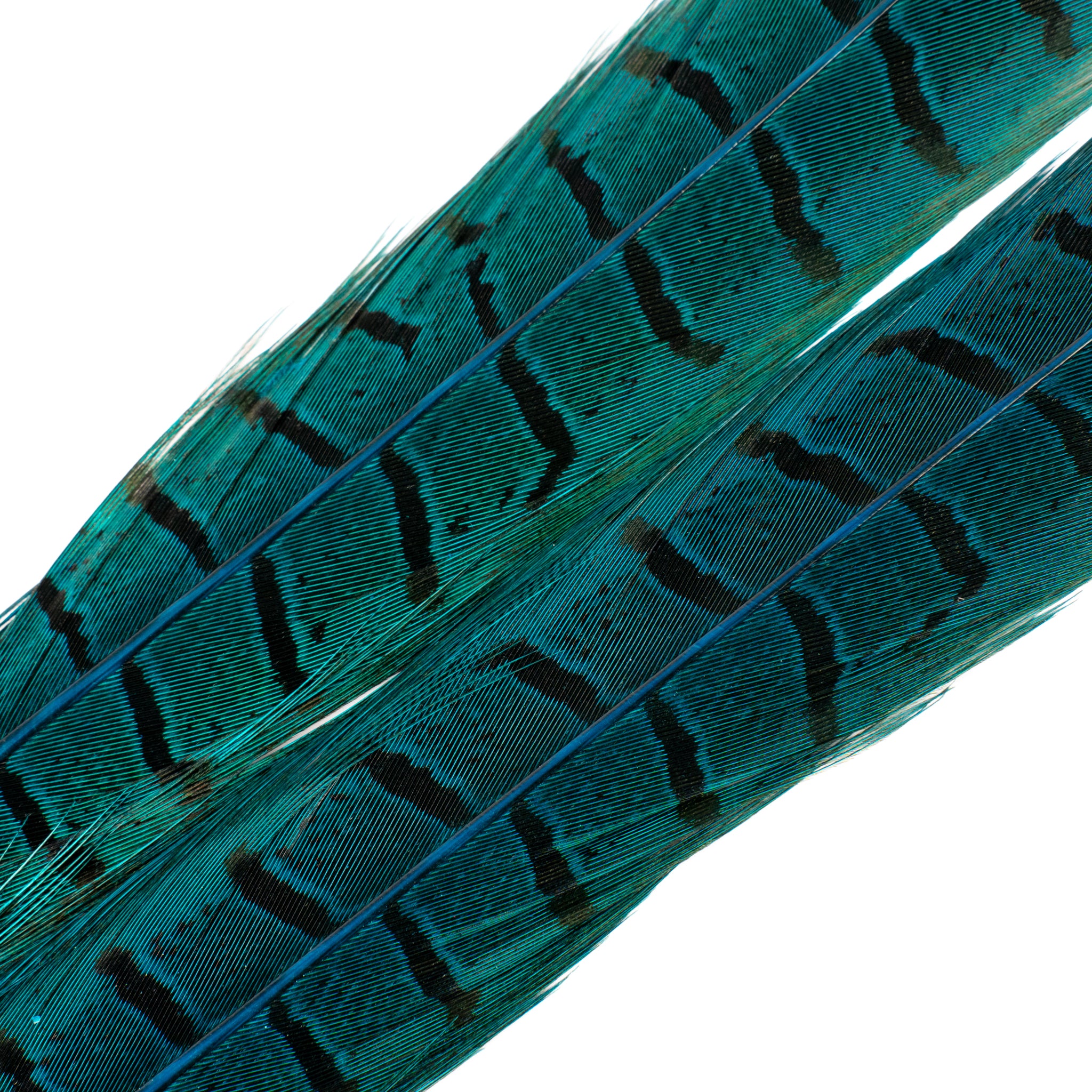 Spent Fly Fishing Pheasant Tail Center Pair