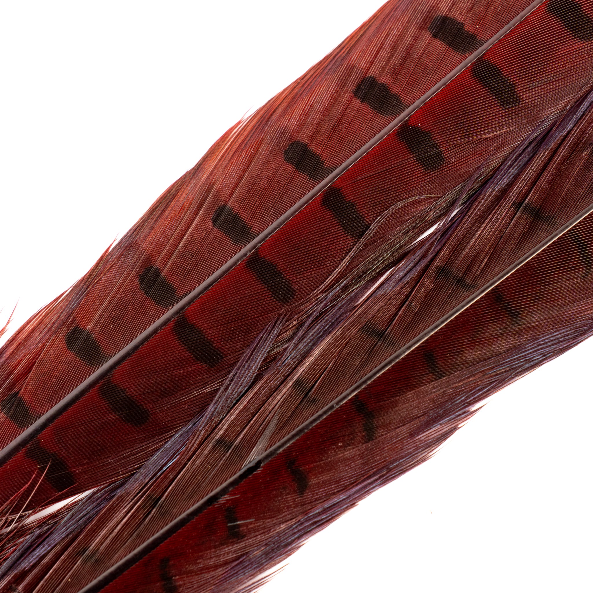 Spent Fly Fishing Pheasant Tail Center Pair