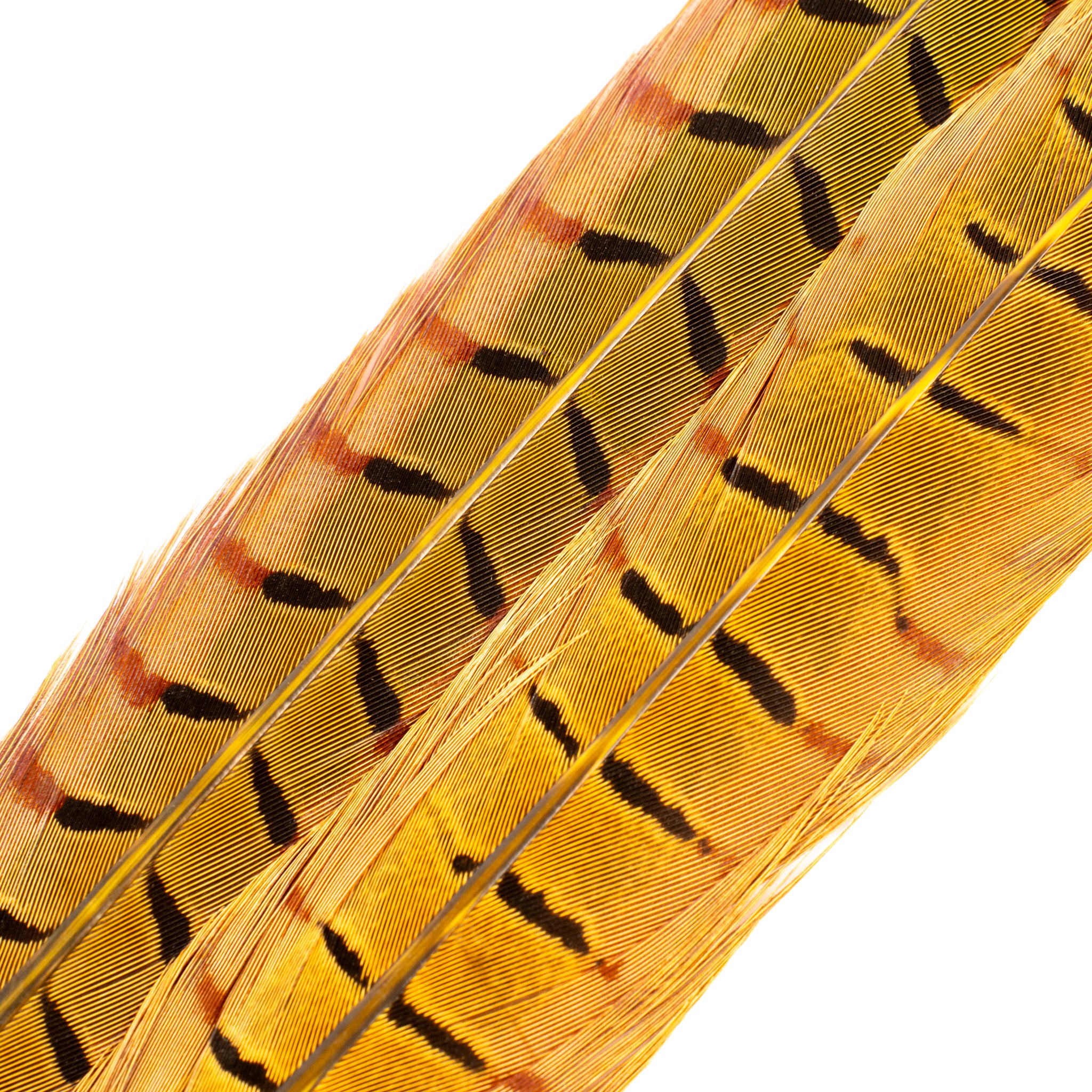 Spent Fly Fishing Pheasant Tail Center Pair