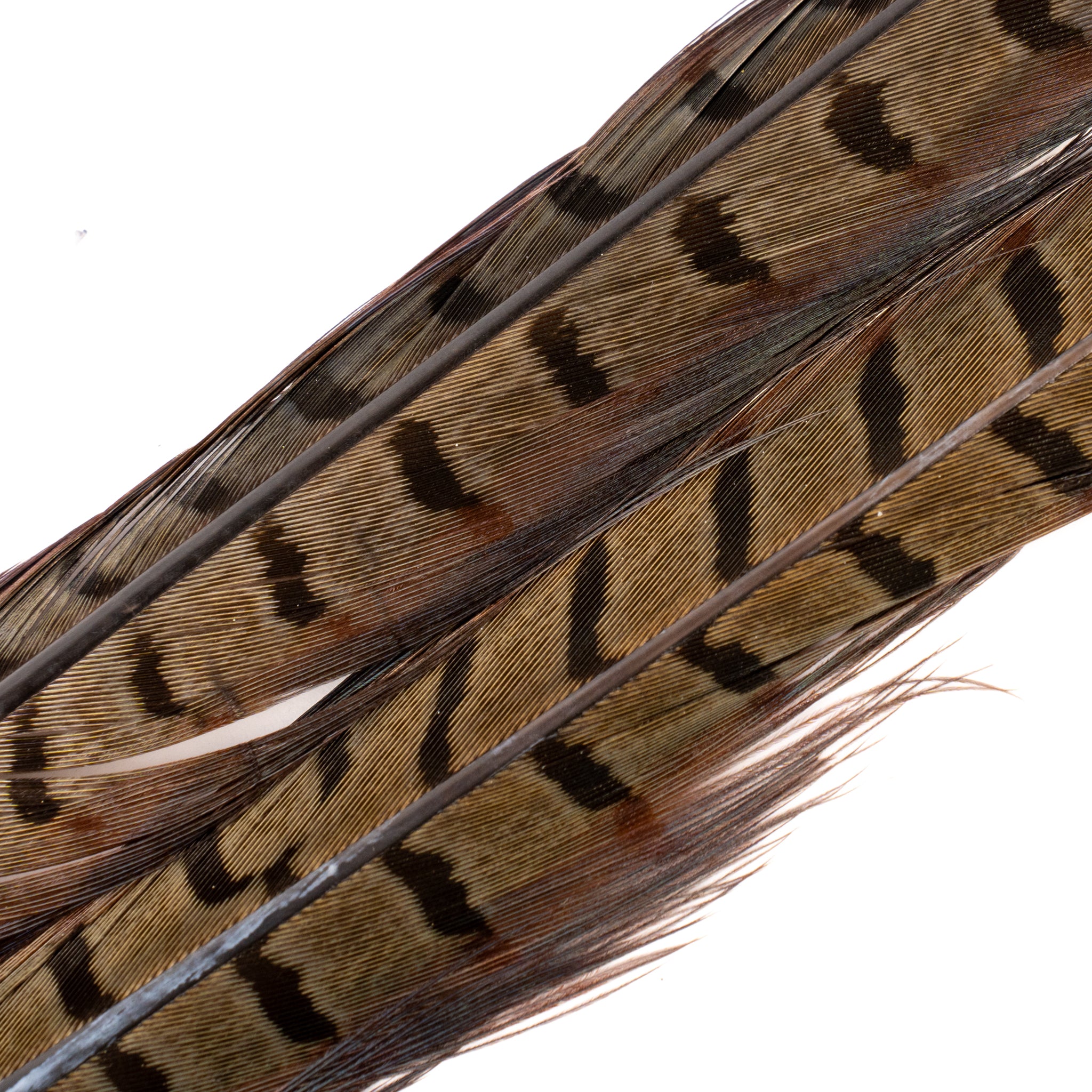 Spent Fly Fishing Pheasant Tail Center Pair