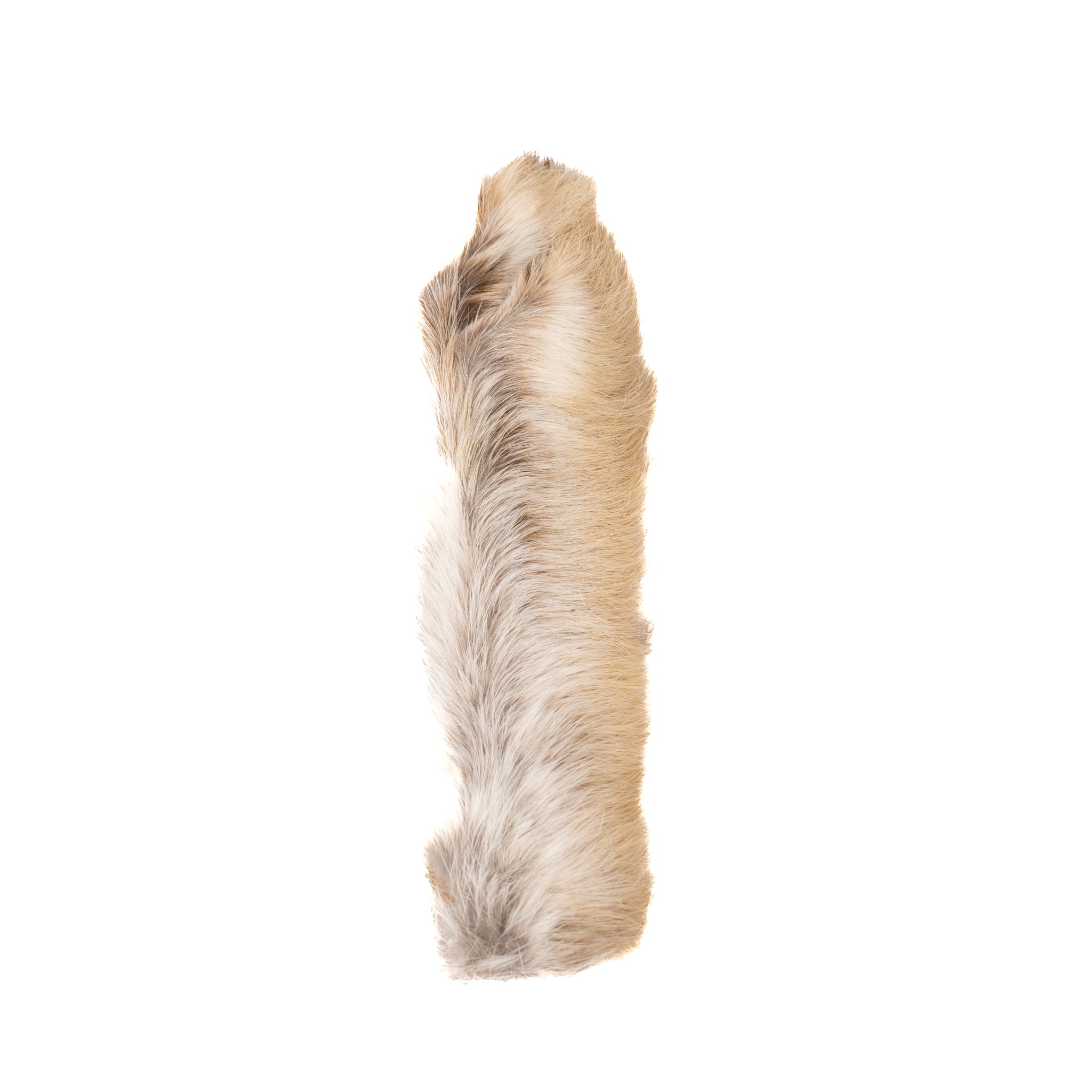 Spent Fly Fishing Snowshoe Hare Foot