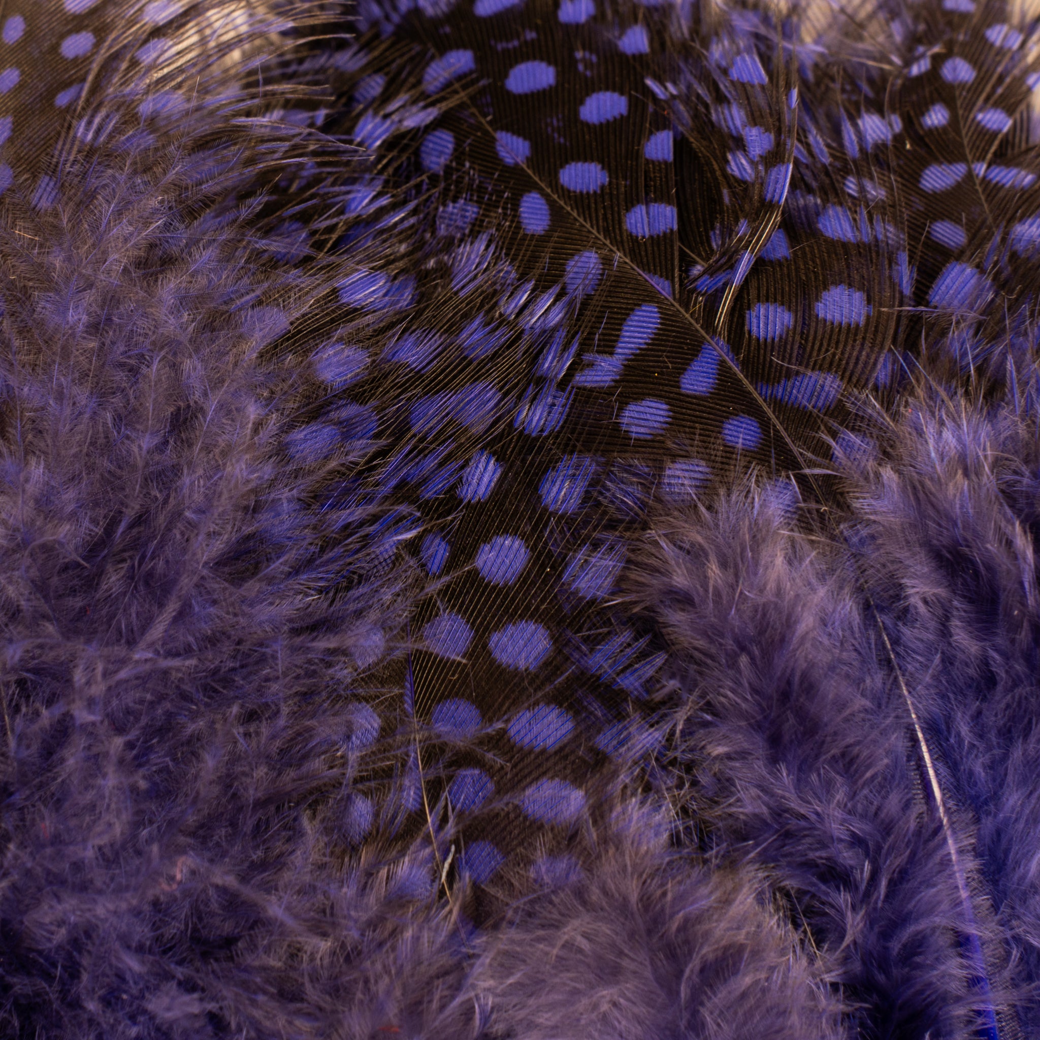 Spent Fly Fishing Strung Guinea Fowl