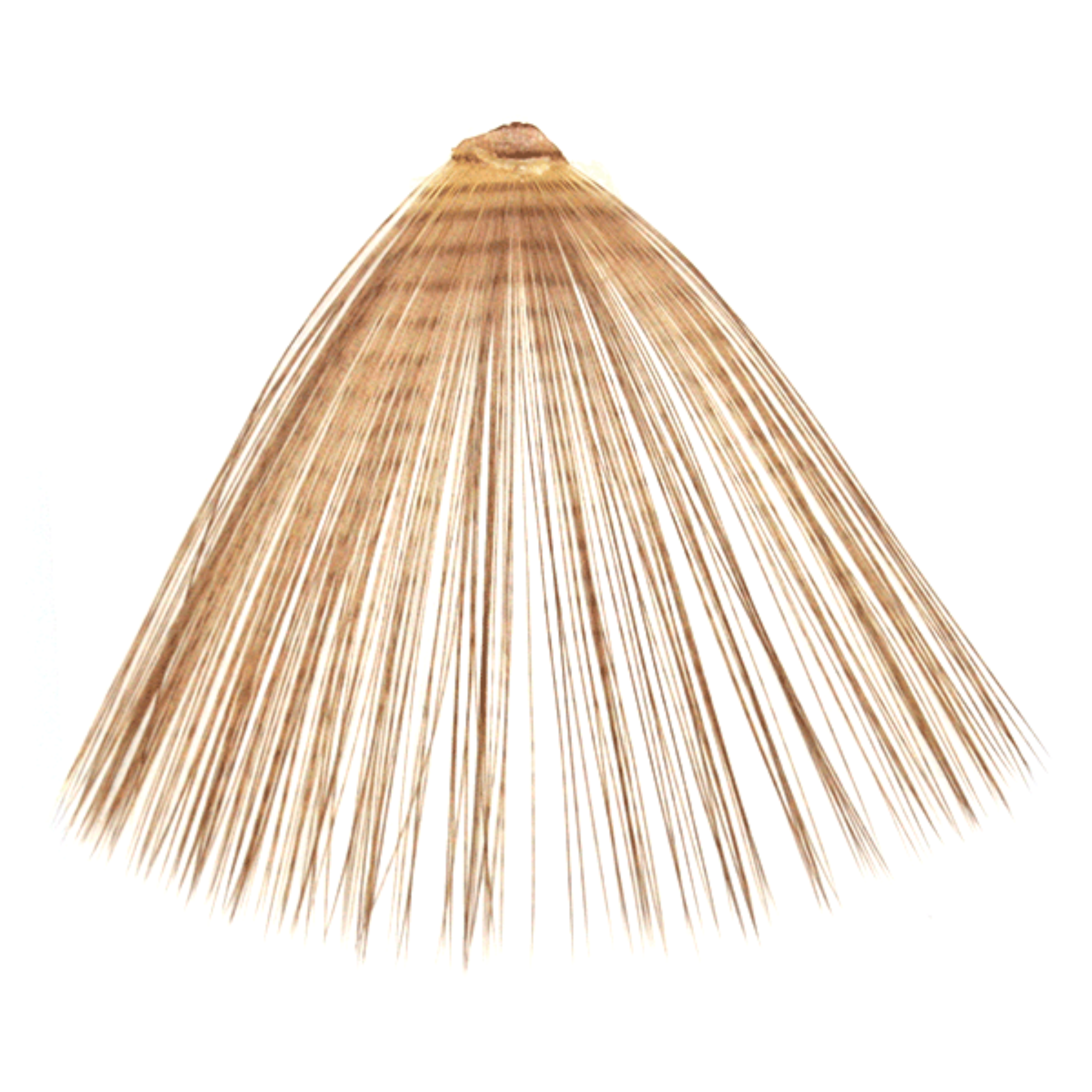 MFC Micro Barred Fibbetts