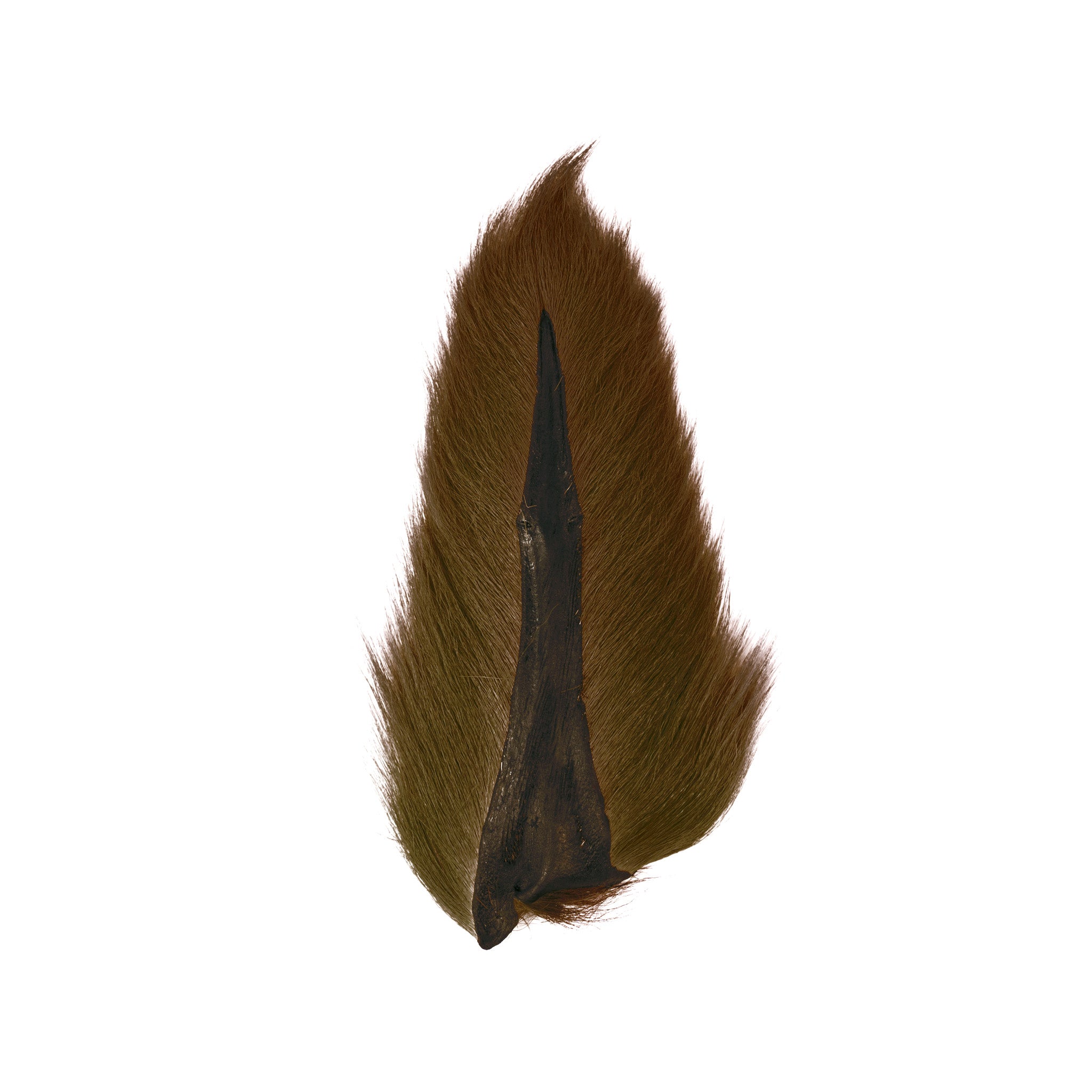 Ellis Ward Bucktail