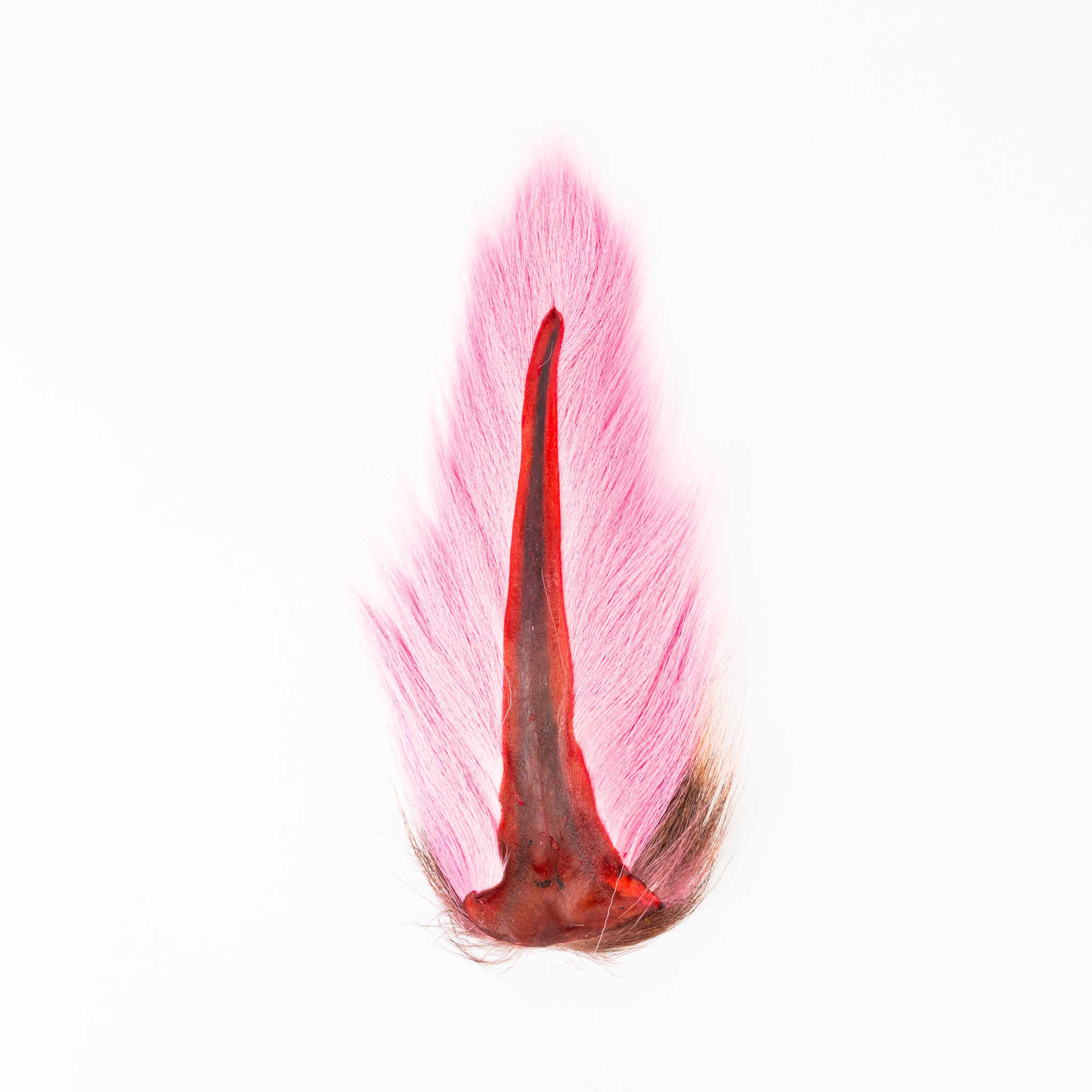 Ellis Ward Bucktail